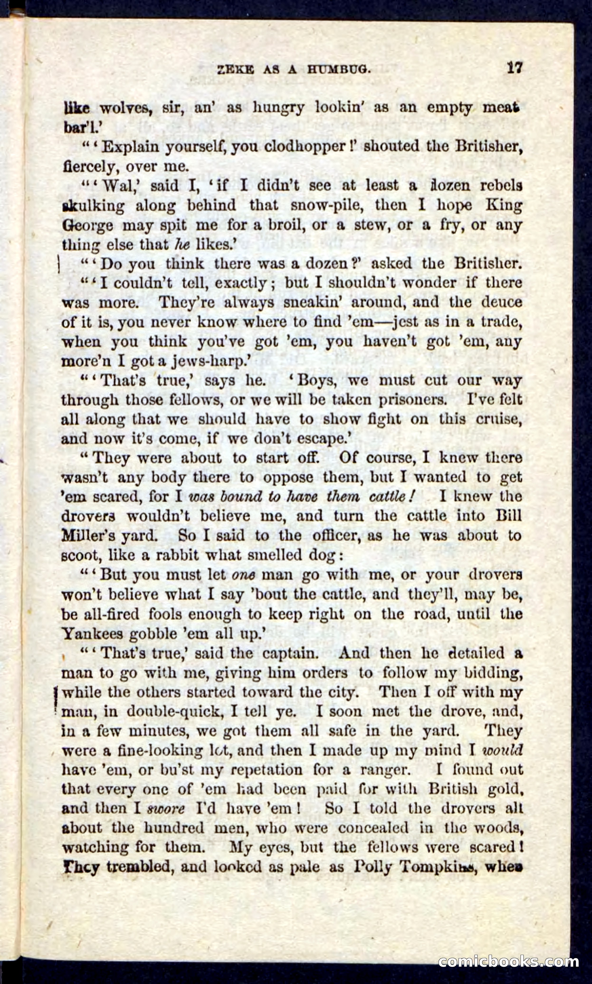 Beadle's Pocket Novels: The Schuylkill Rangers — page 13 of 100