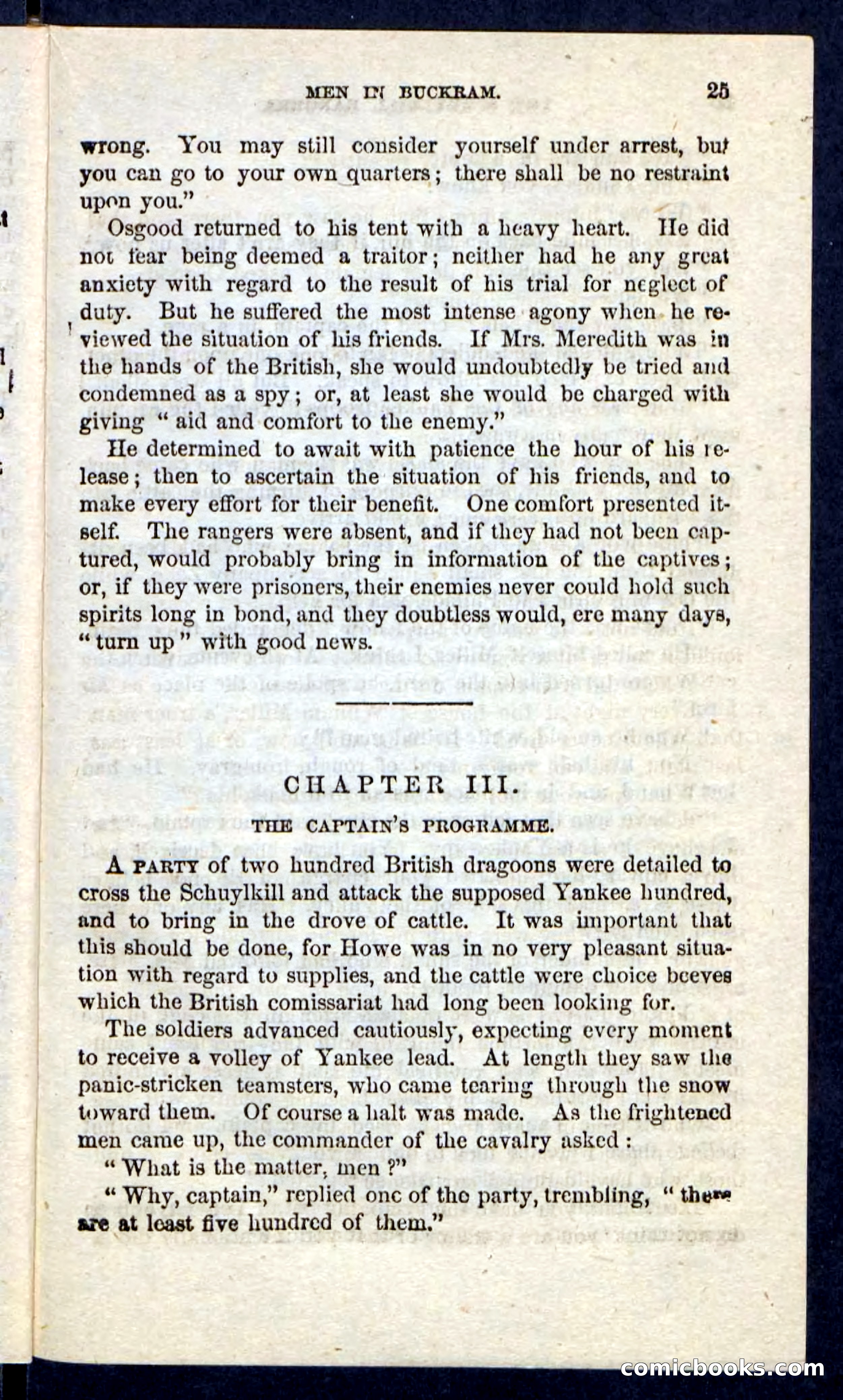 Beadle's Pocket Novels: The Schuylkill Rangers — page 21 of 100