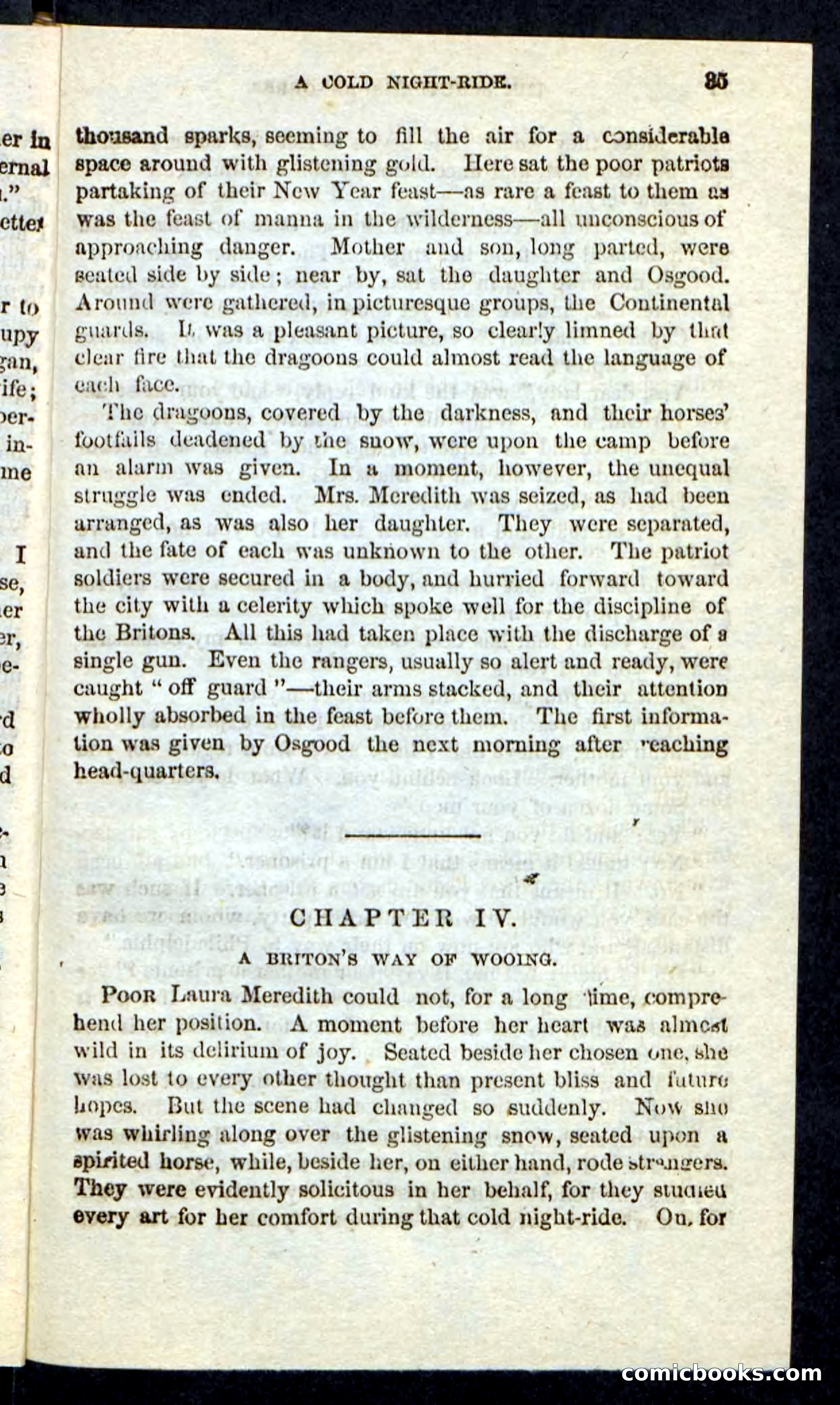 Beadle's Pocket Novels: The Schuylkill Rangers — page 31 of 100