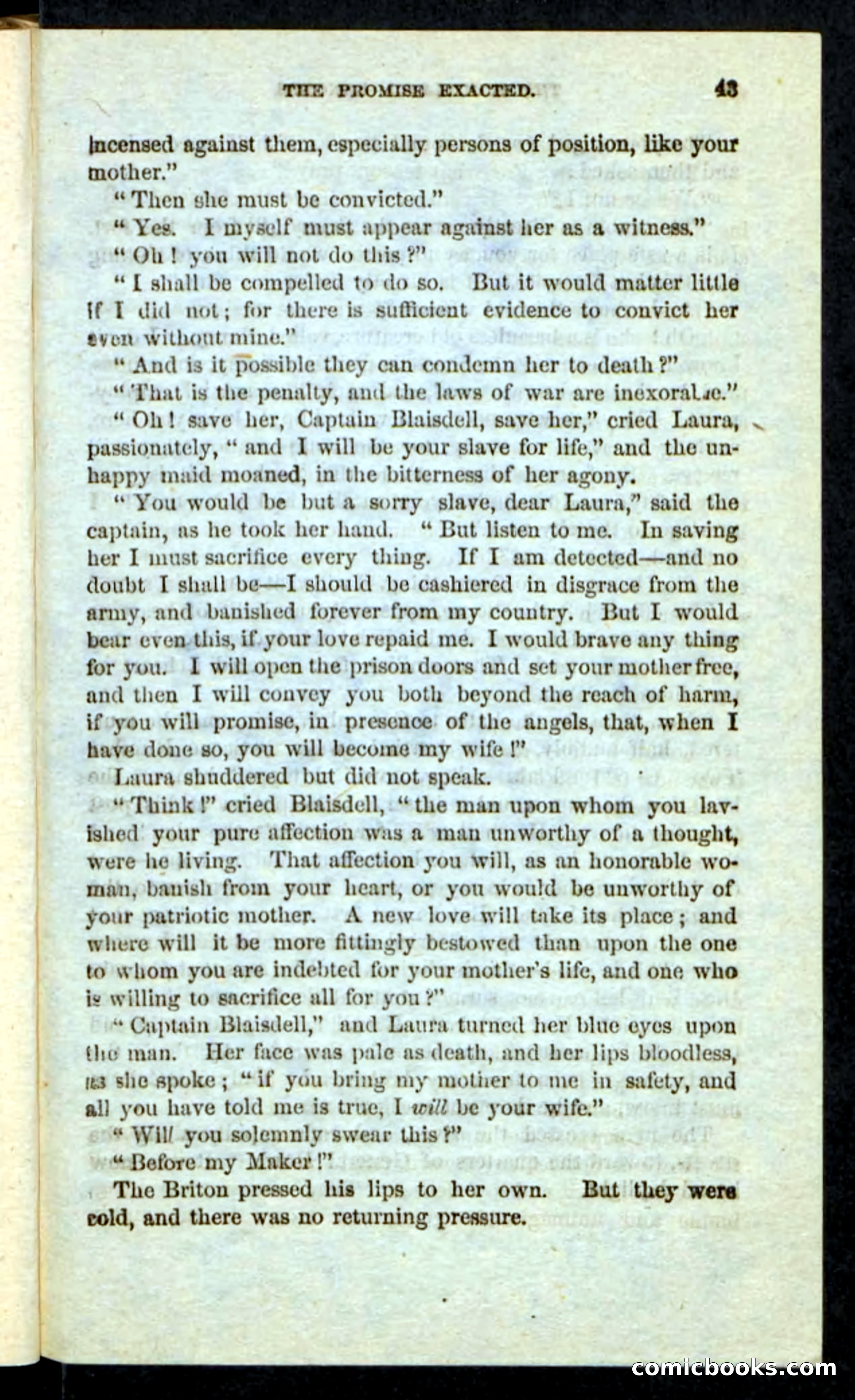 Beadle's Pocket Novels: The Schuylkill Rangers — page 39 of 100
