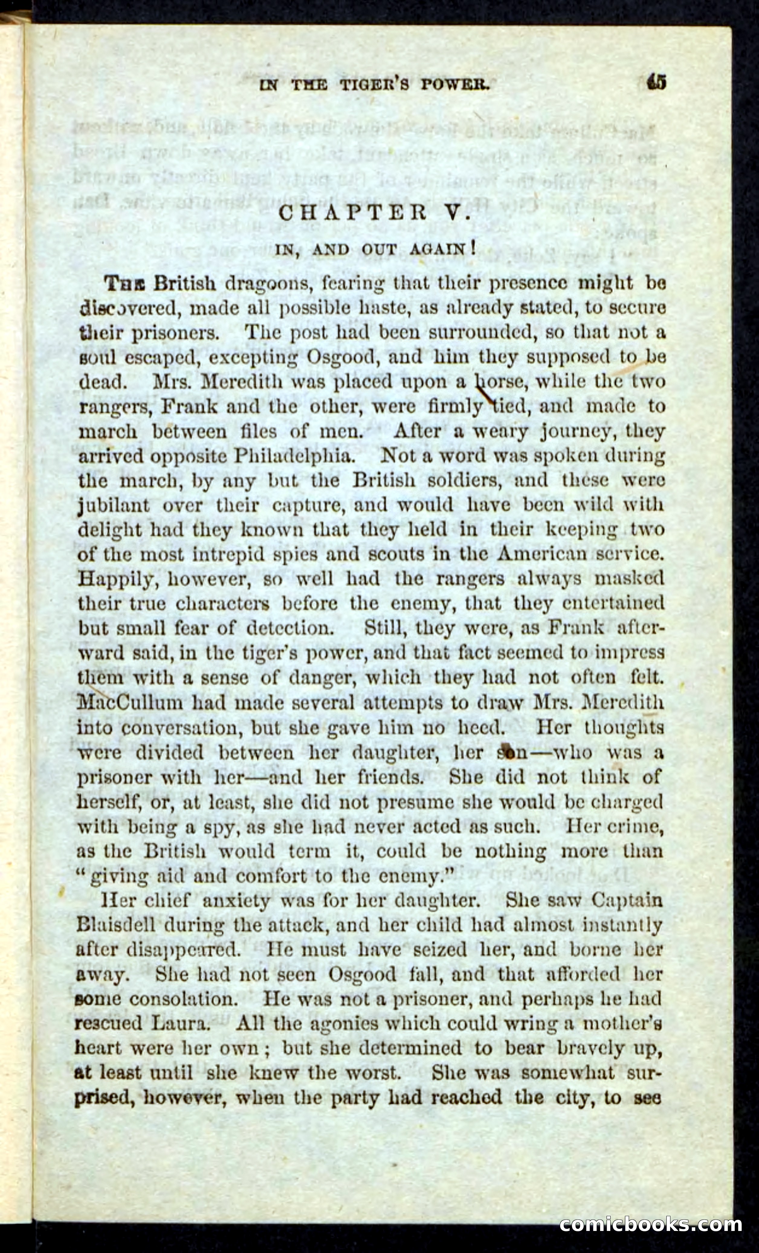 Beadle's Pocket Novels: The Schuylkill Rangers — page 41 of 100