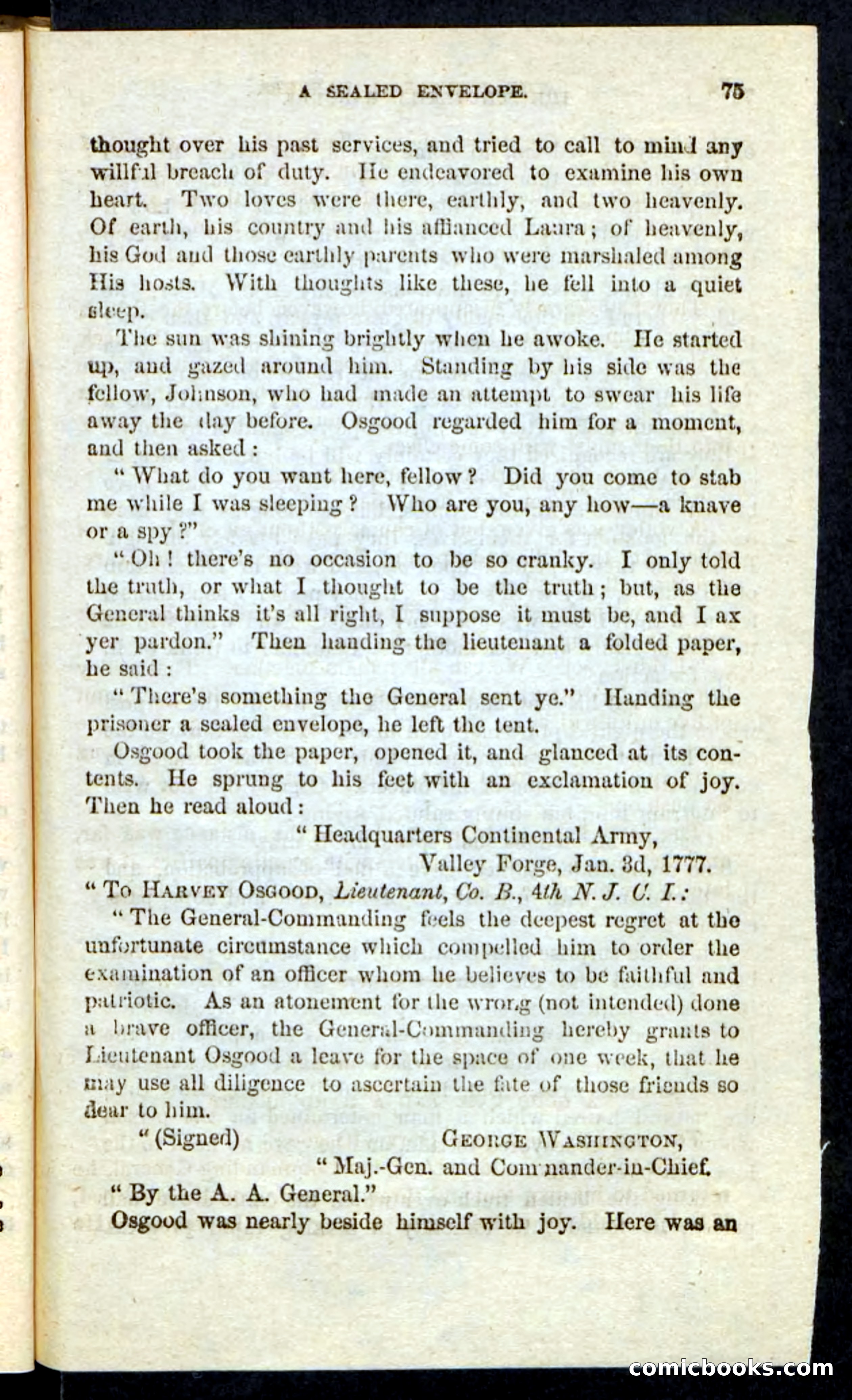 Beadle's Pocket Novels: The Schuylkill Rangers — page 71 of 100