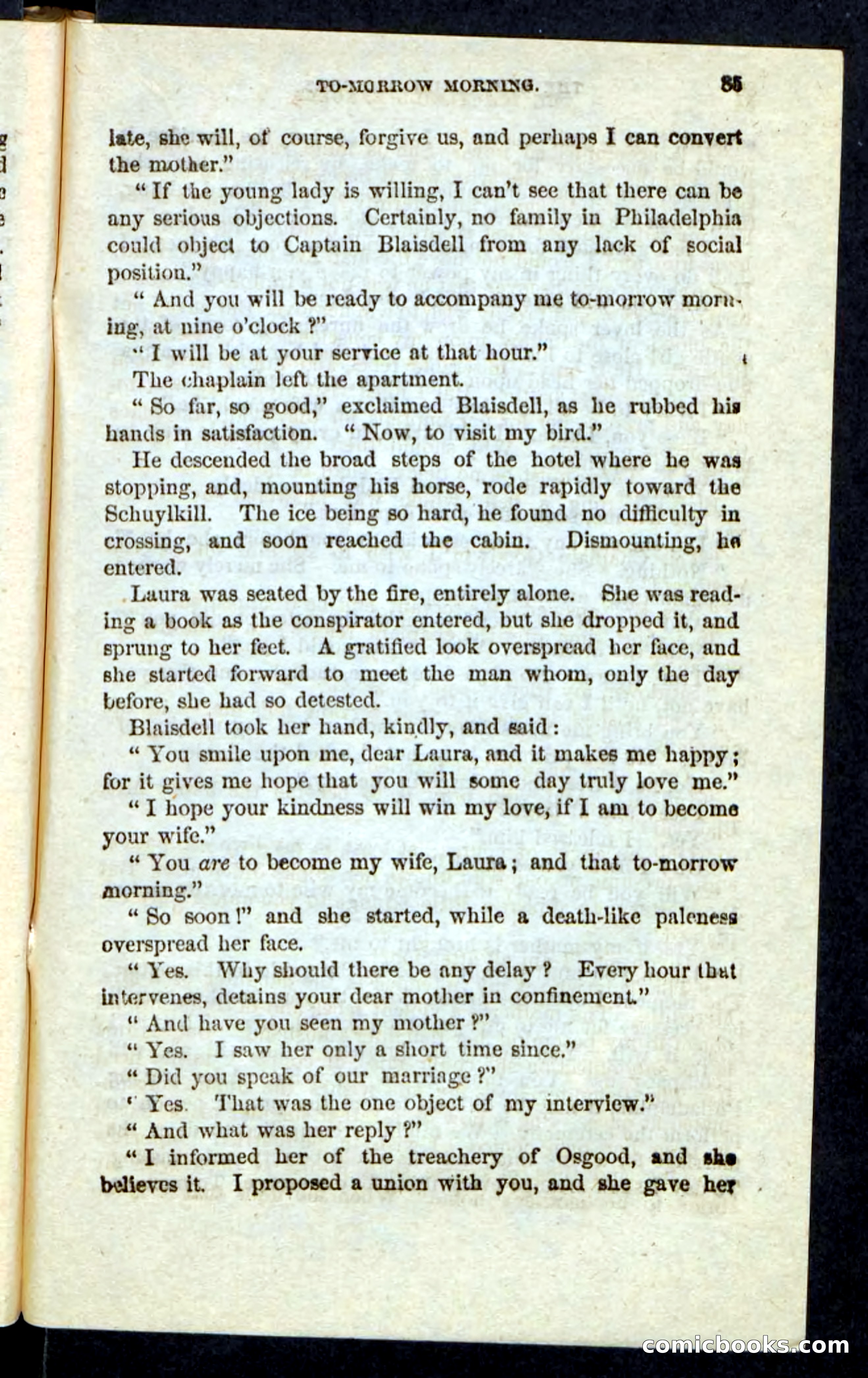 Beadle's Pocket Novels: The Schuylkill Rangers — page 81 of 100