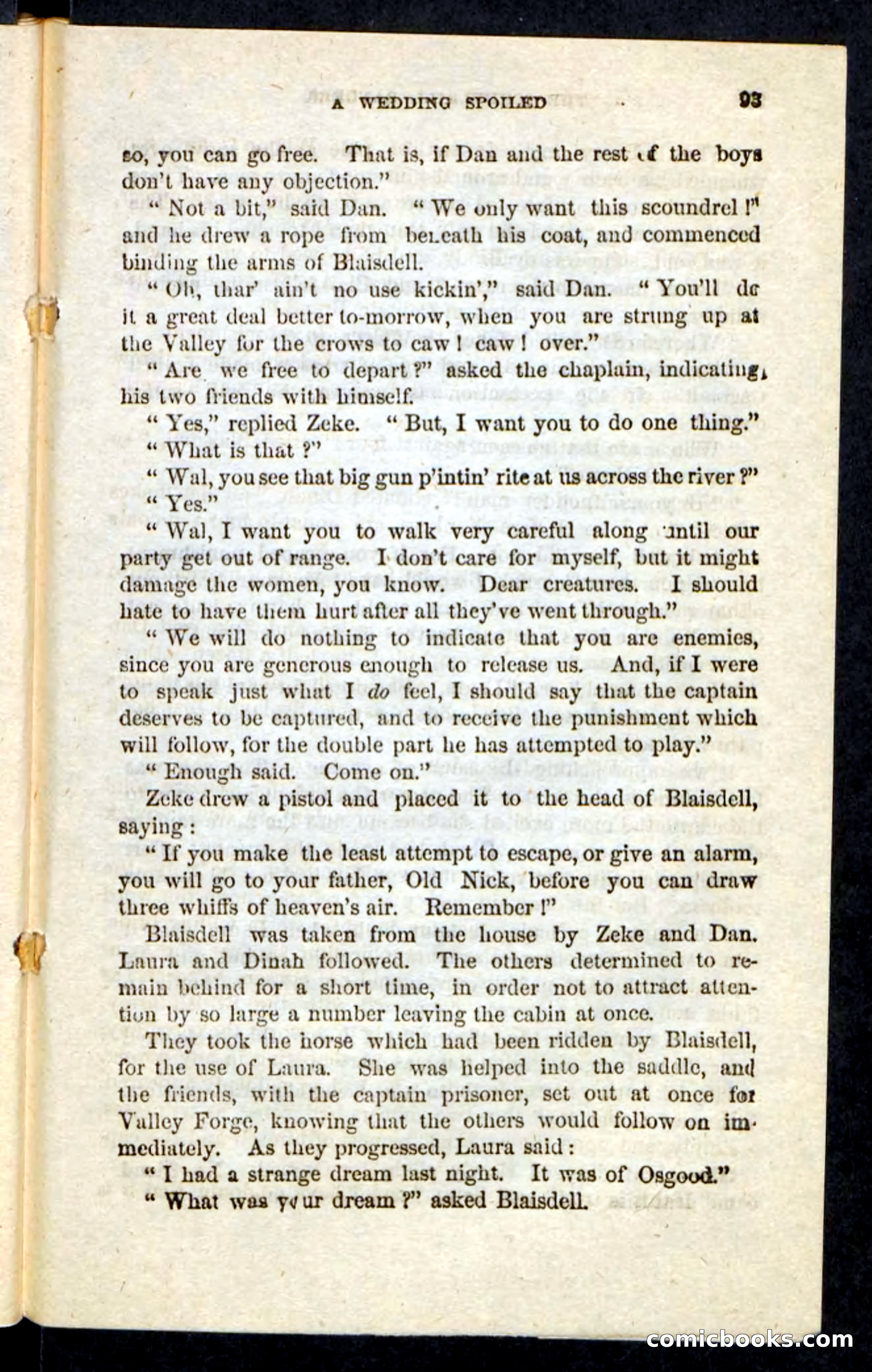 Beadle's Pocket Novels: The Schuylkill Rangers — page 89 of 100