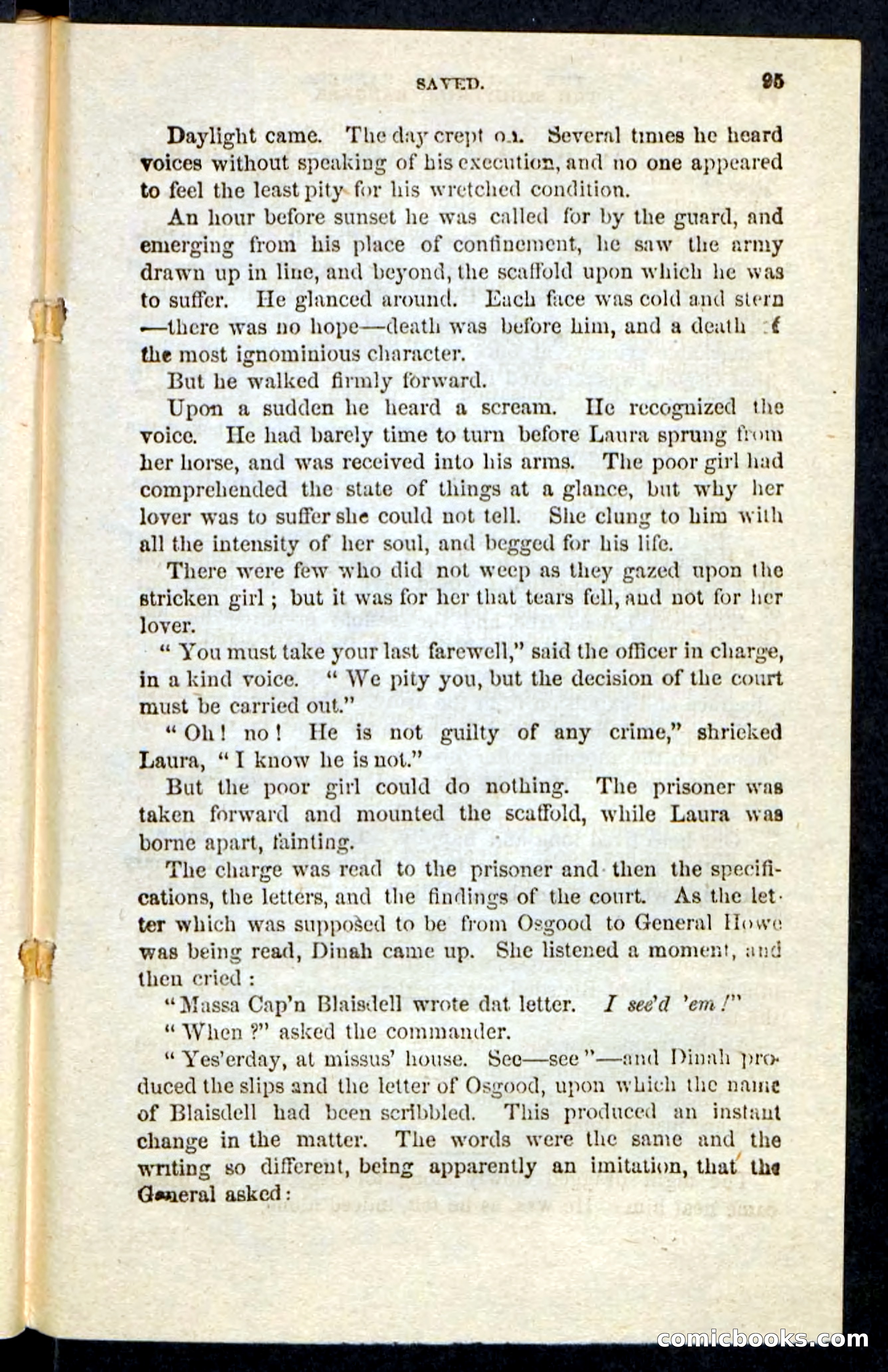 Beadle's Pocket Novels: The Schuylkill Rangers — page 91 of 100