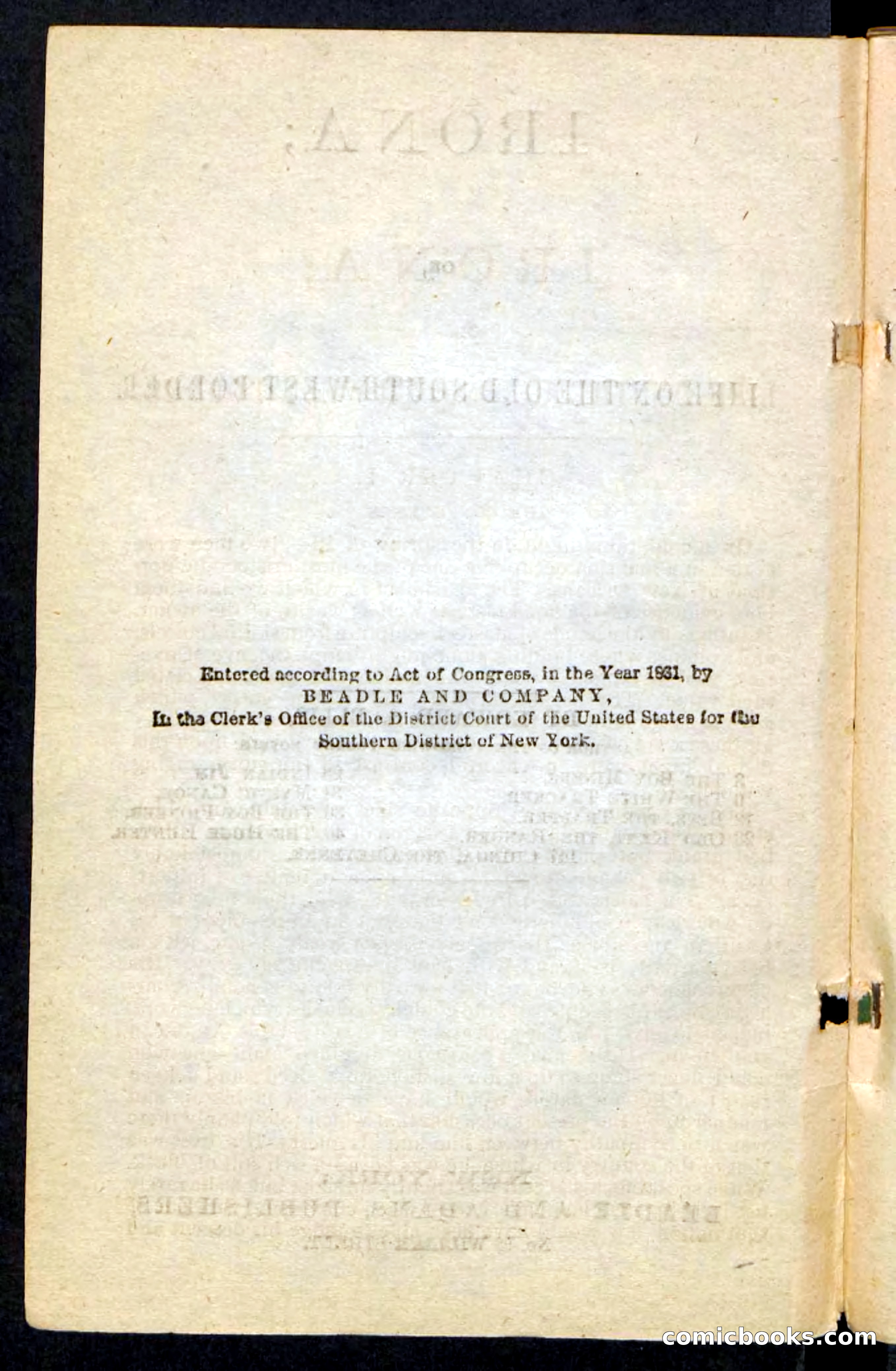 Beadle's Pocket Novels No. 227: Irona — page 4 of 100