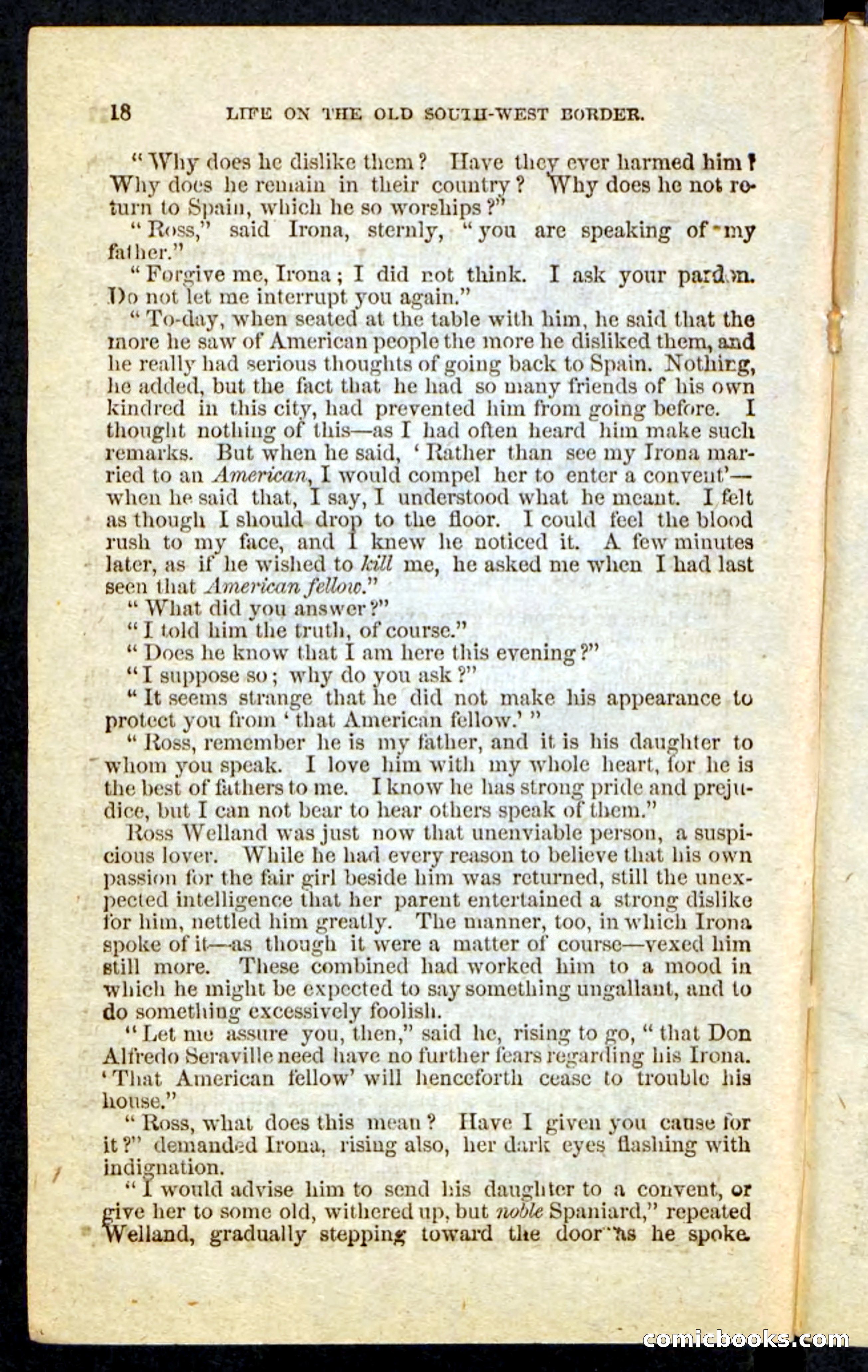 Beadle's Pocket Novels No. 227: Irona — page 14 of 100