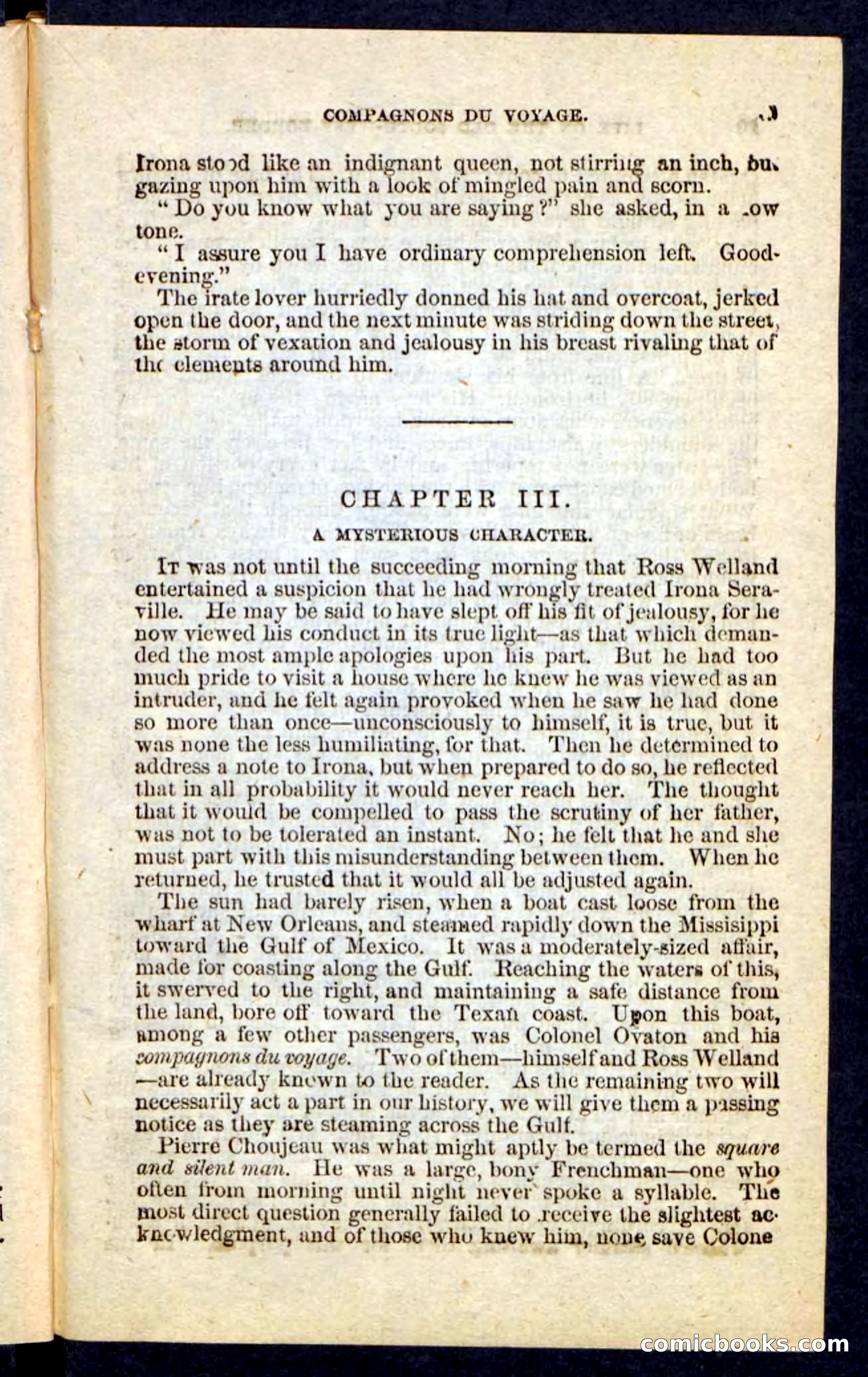 Beadle's Pocket Novels No. 227: Irona — page 15 of 100