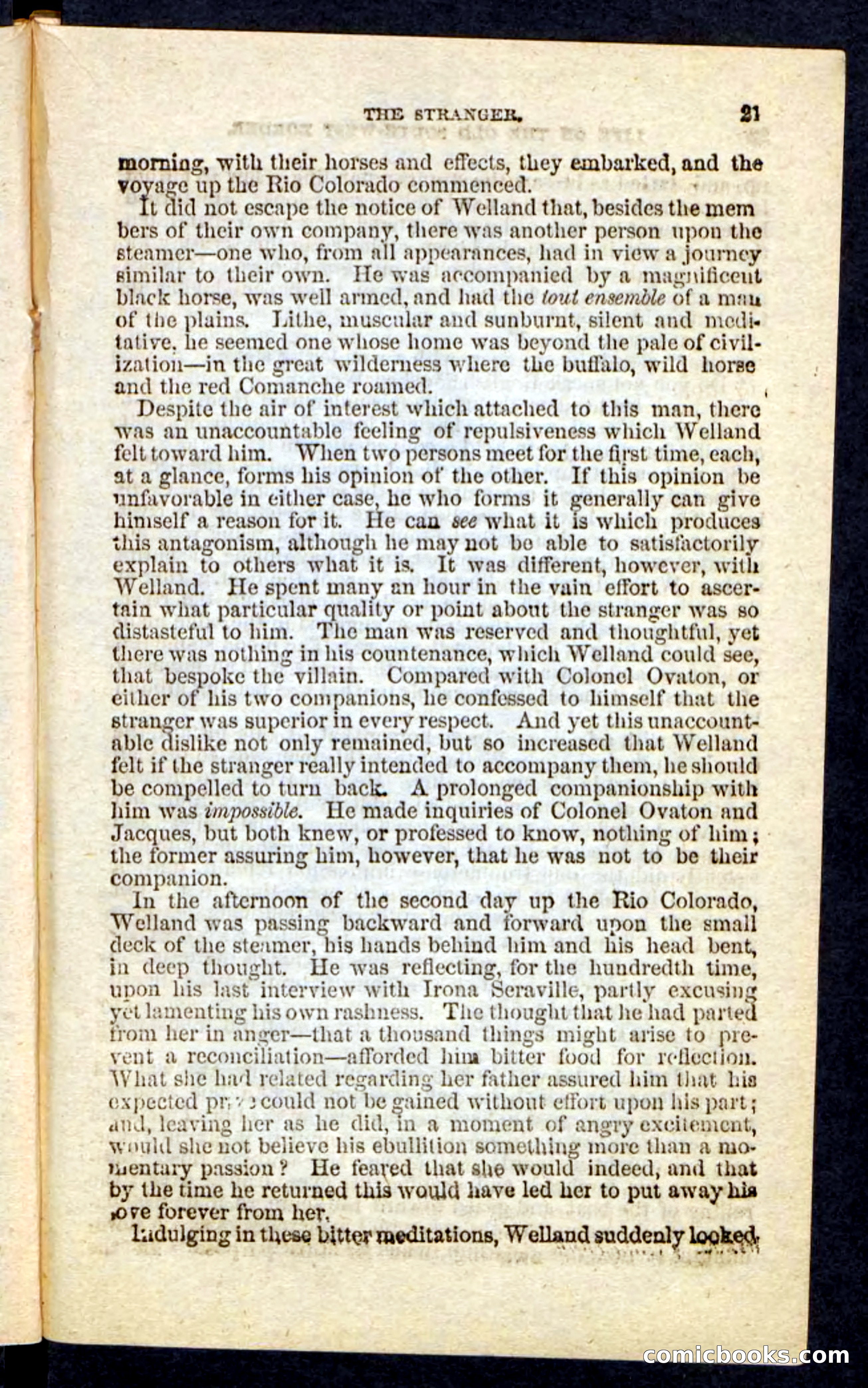 Beadle's Pocket Novels No. 227: Irona — page 17 of 100