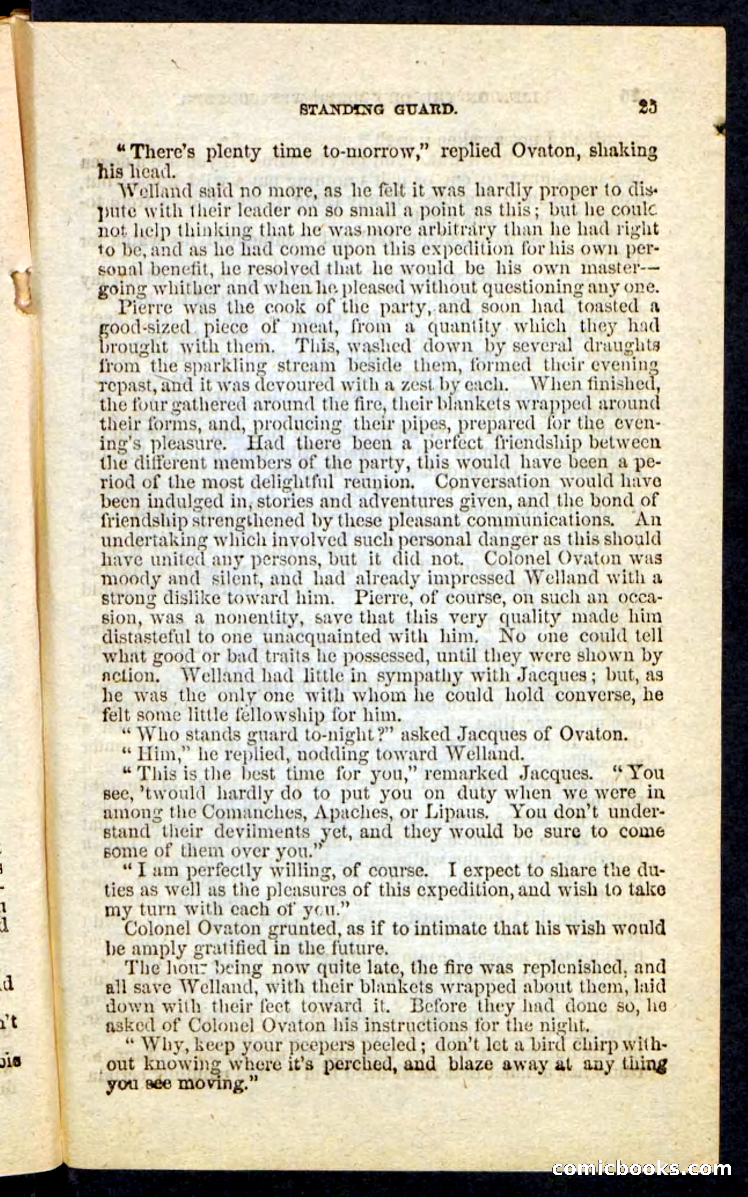 Beadle's Pocket Novels No. 227: Irona — page 21 of 100