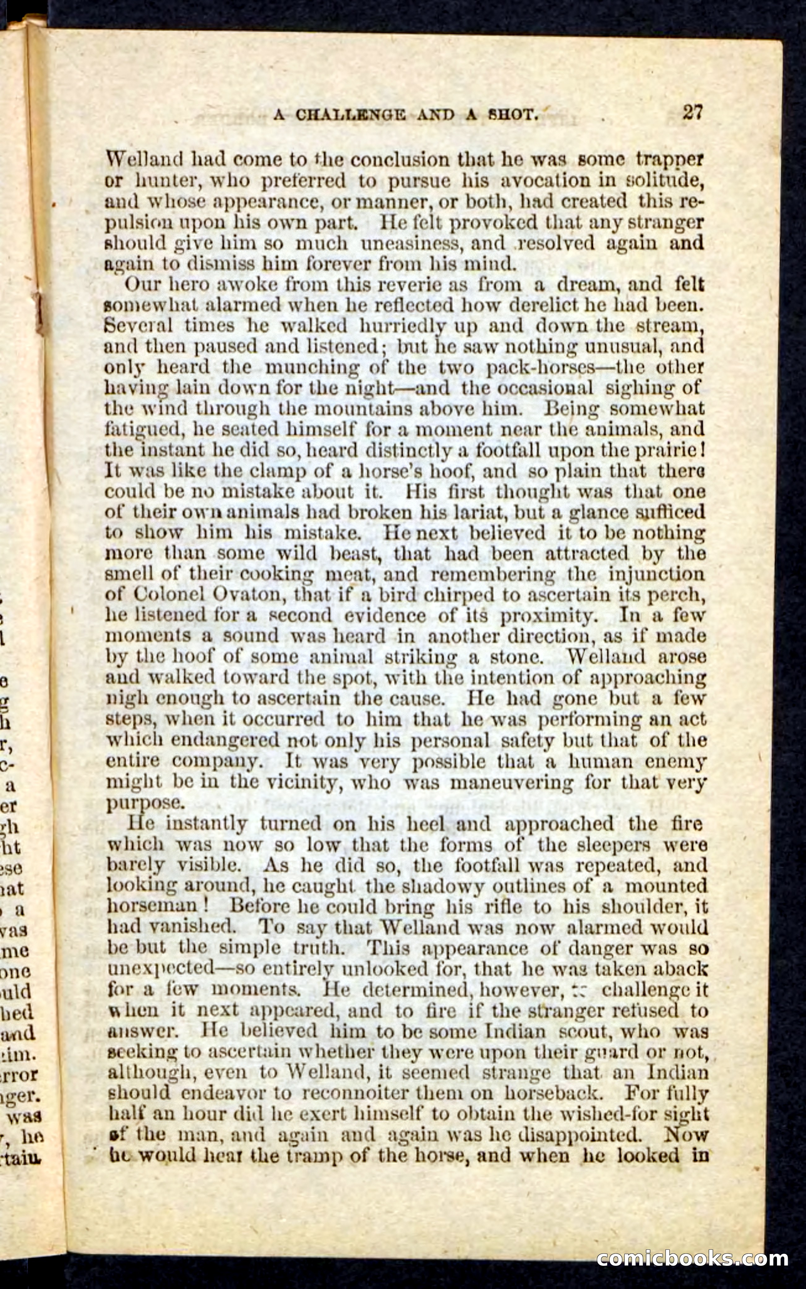 Beadle's Pocket Novels No. 227: Irona — page 23 of 100