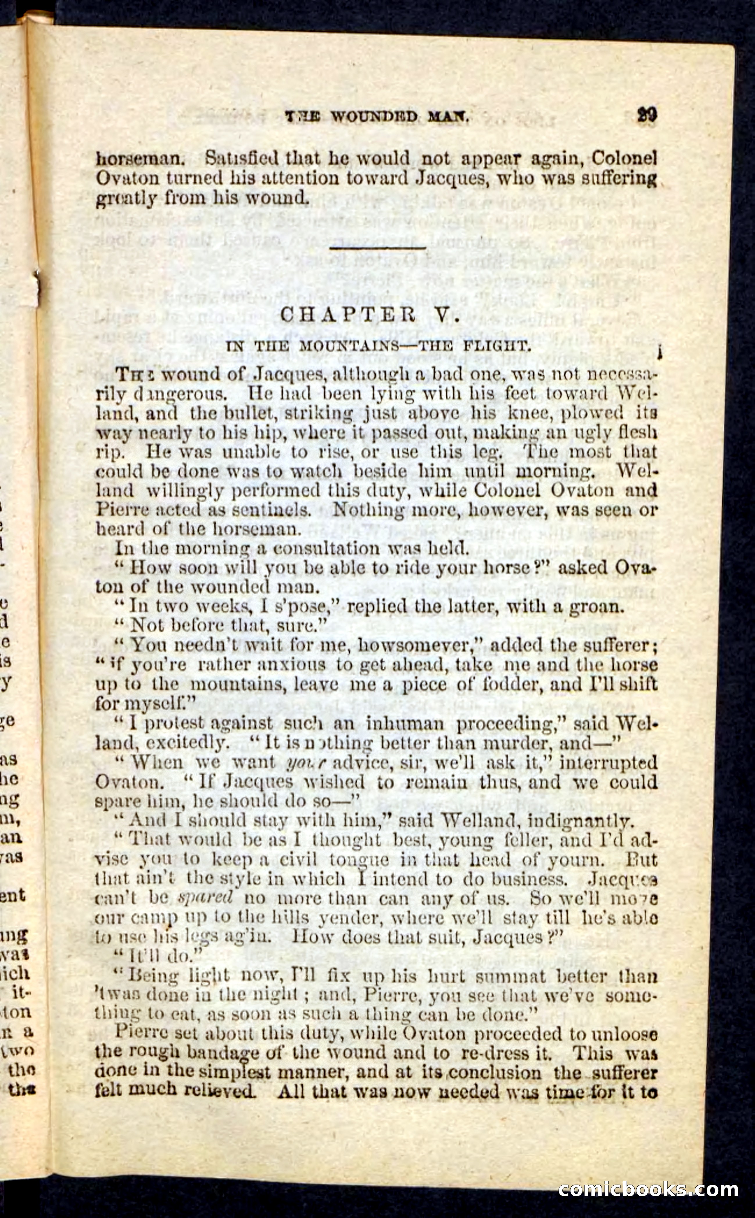Beadle's Pocket Novels No. 227: Irona — page 25 of 100