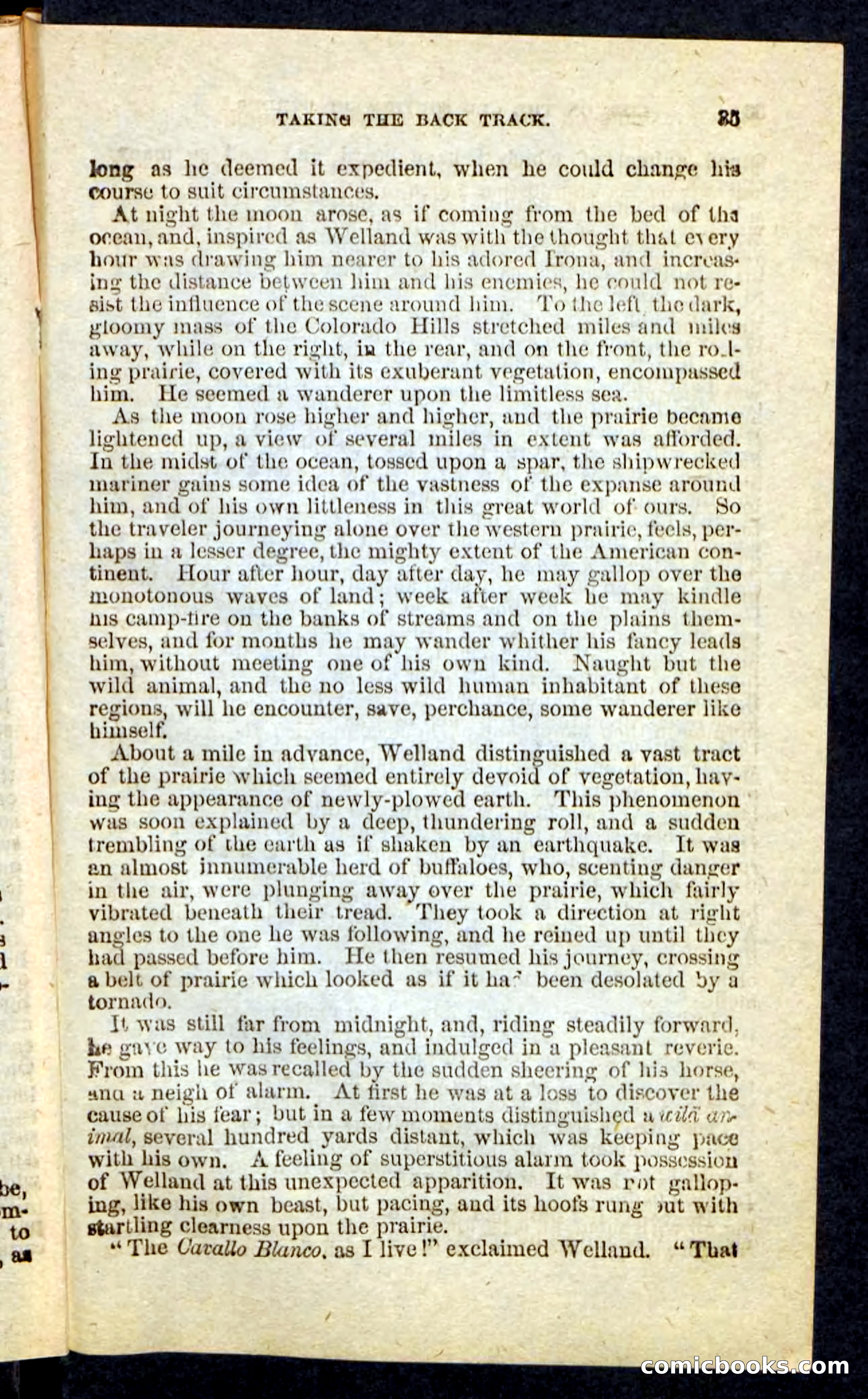 Beadle's Pocket Novels No. 227: Irona — page 31 of 100