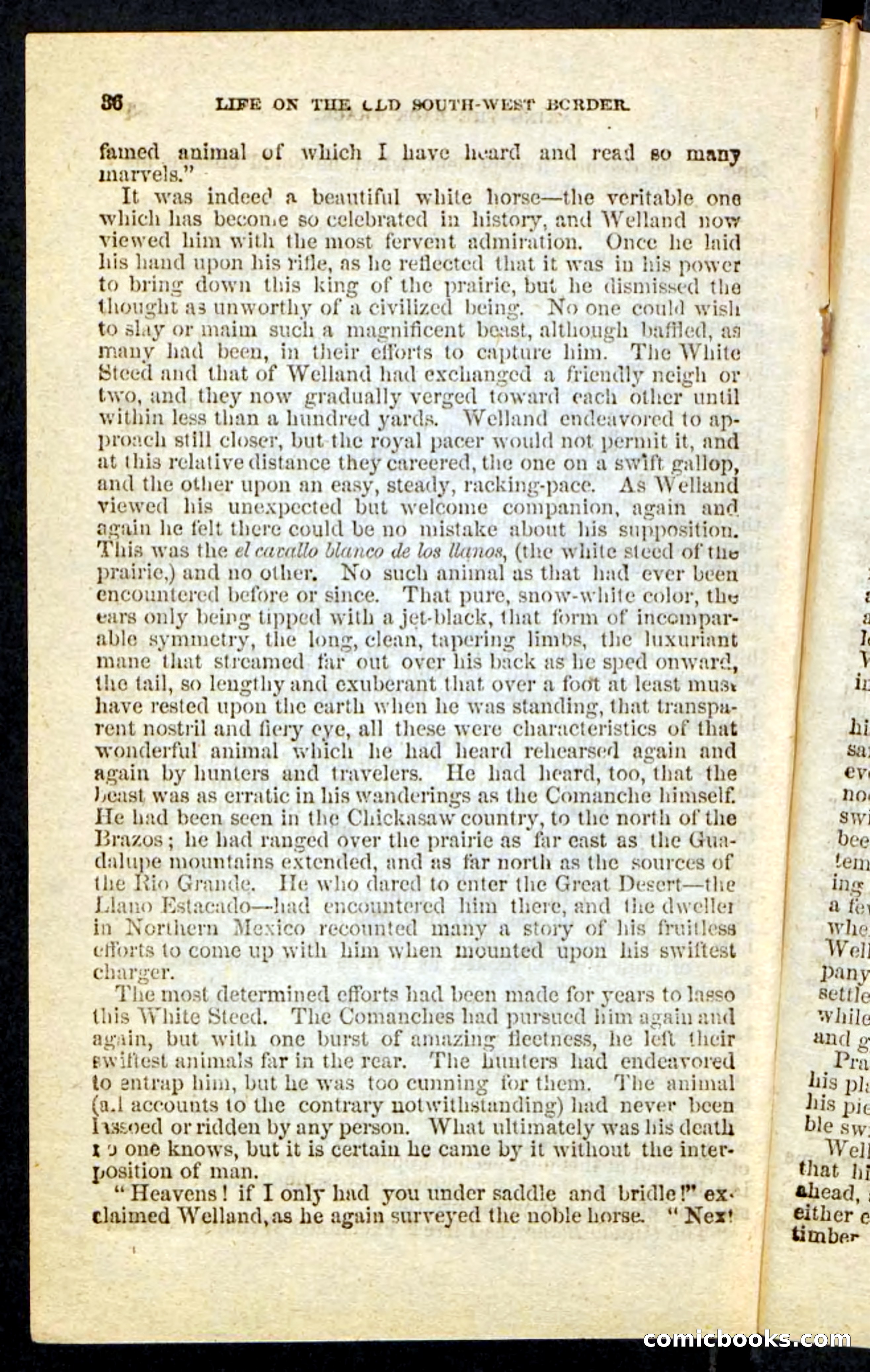 Beadle's Pocket Novels No. 227: Irona — page 32 of 100