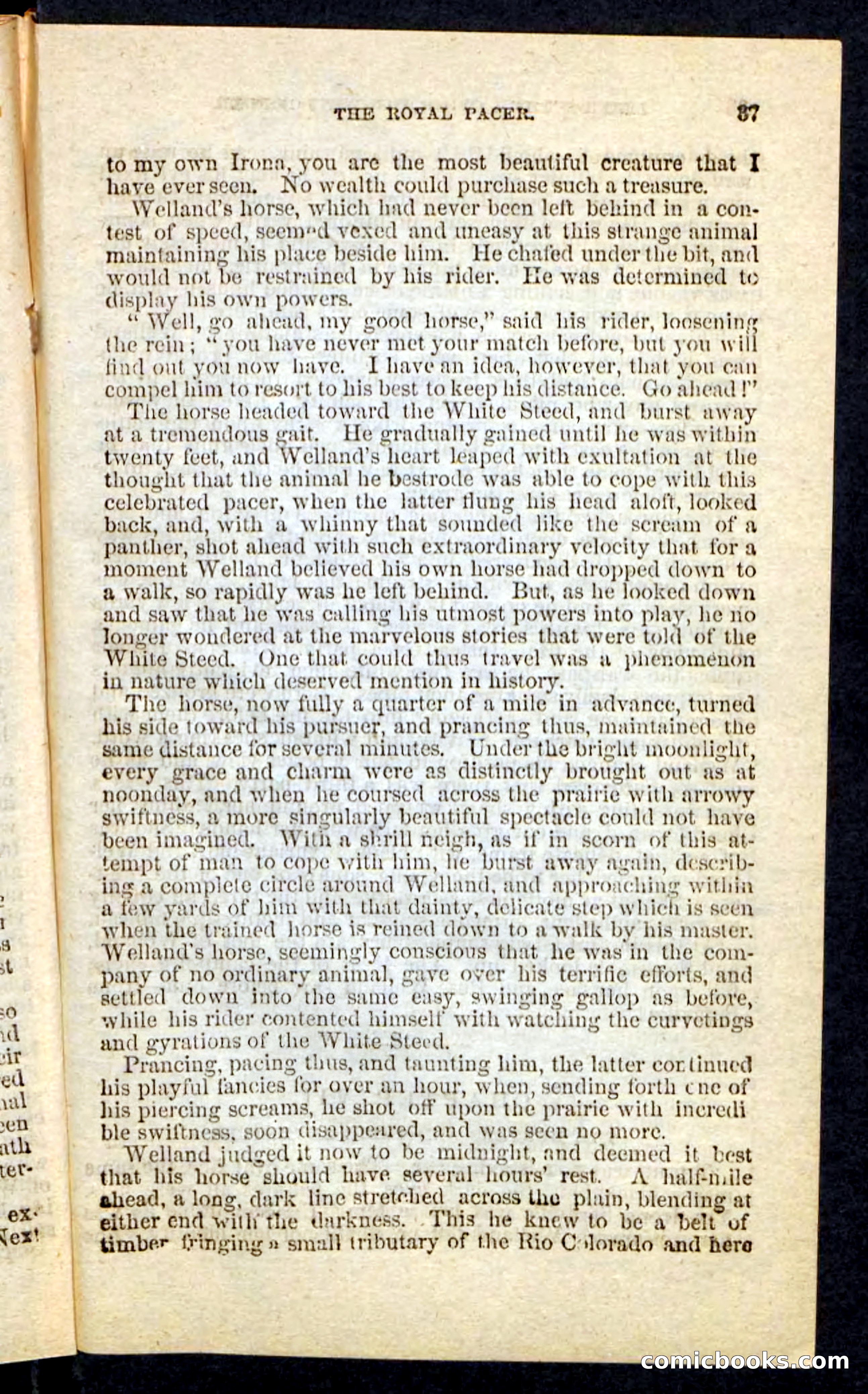 Beadle's Pocket Novels No. 227: Irona — page 33 of 100