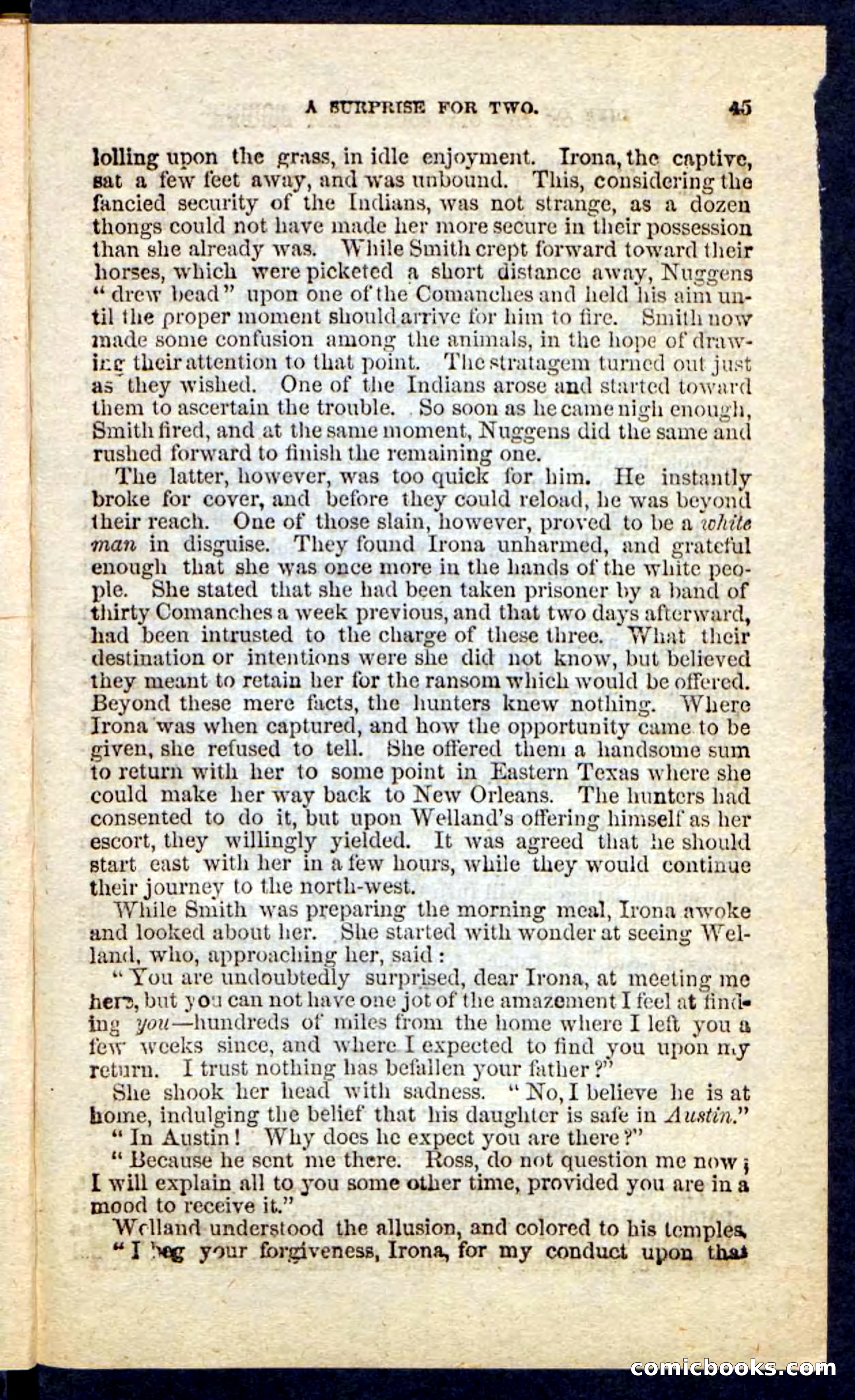 Beadle's Pocket Novels No. 227: Irona — page 41 of 100
