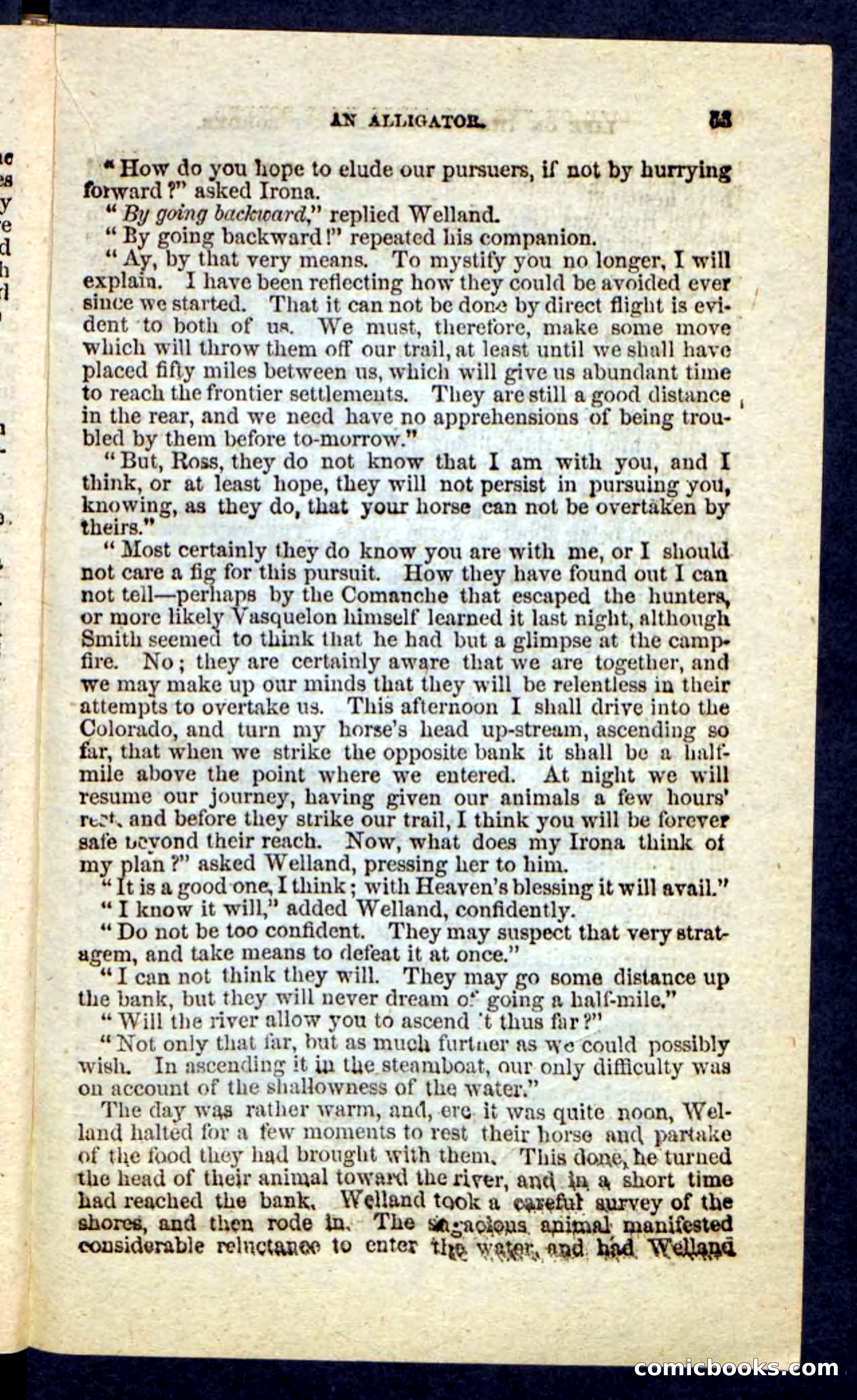 Beadle's Pocket Novels No. 227: Irona — page 49 of 100
