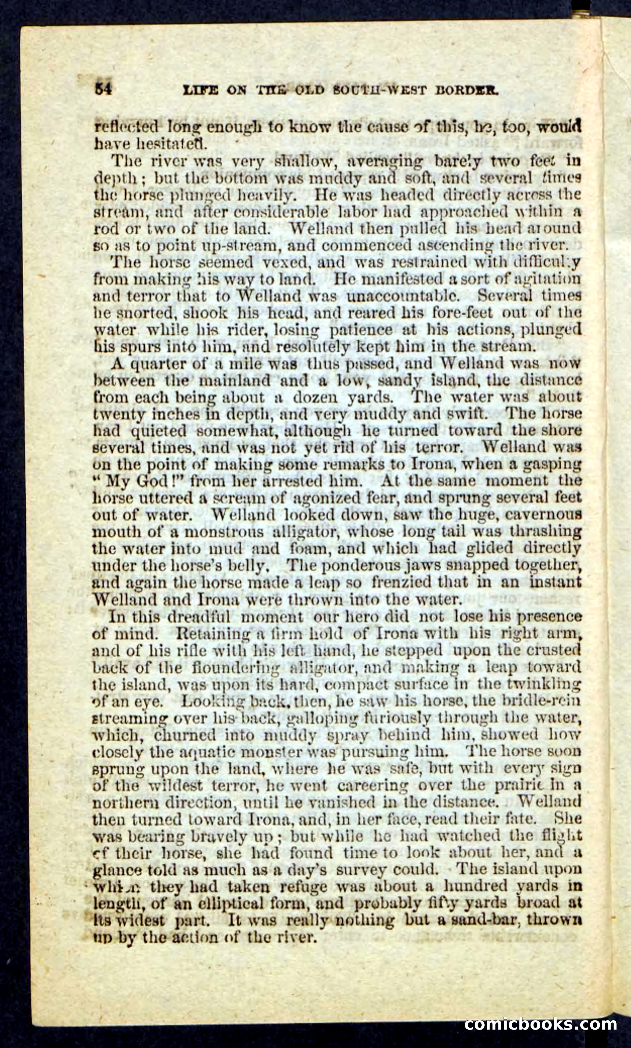 Beadle's Pocket Novels No. 227: Irona — page 50 of 100