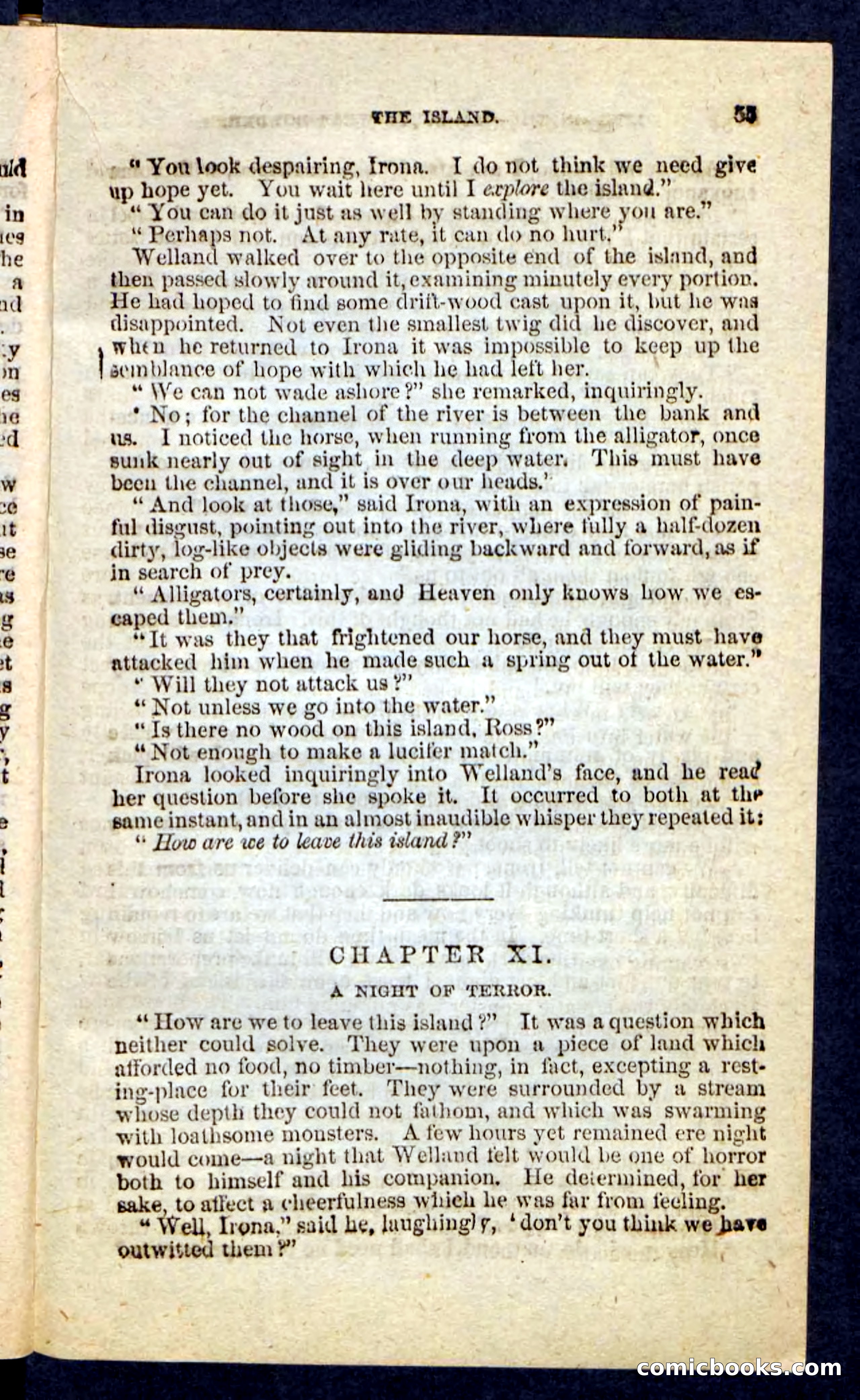 Beadle's Pocket Novels No. 227: Irona — page 51 of 100