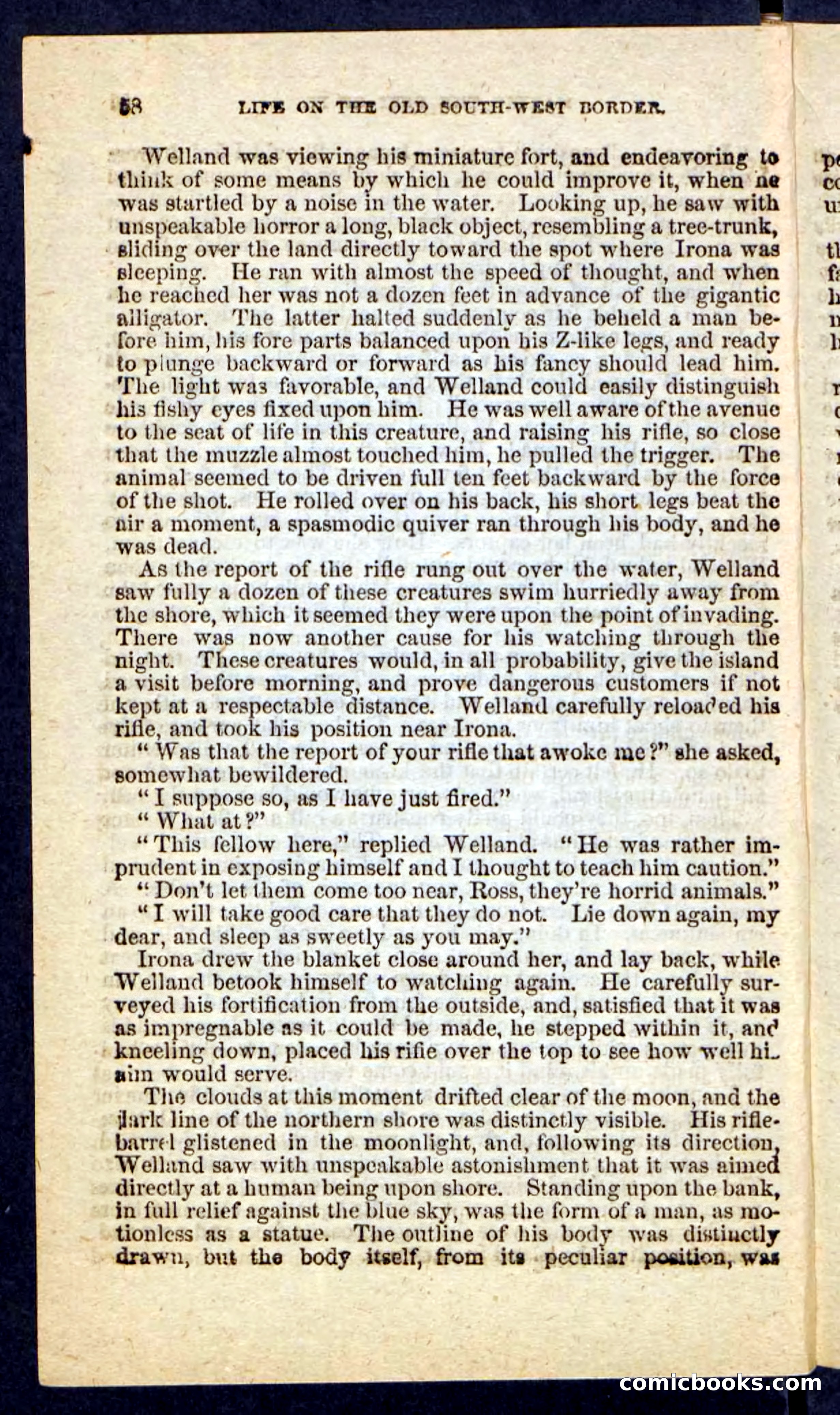 Beadle's Pocket Novels No. 227: Irona — page 54 of 100