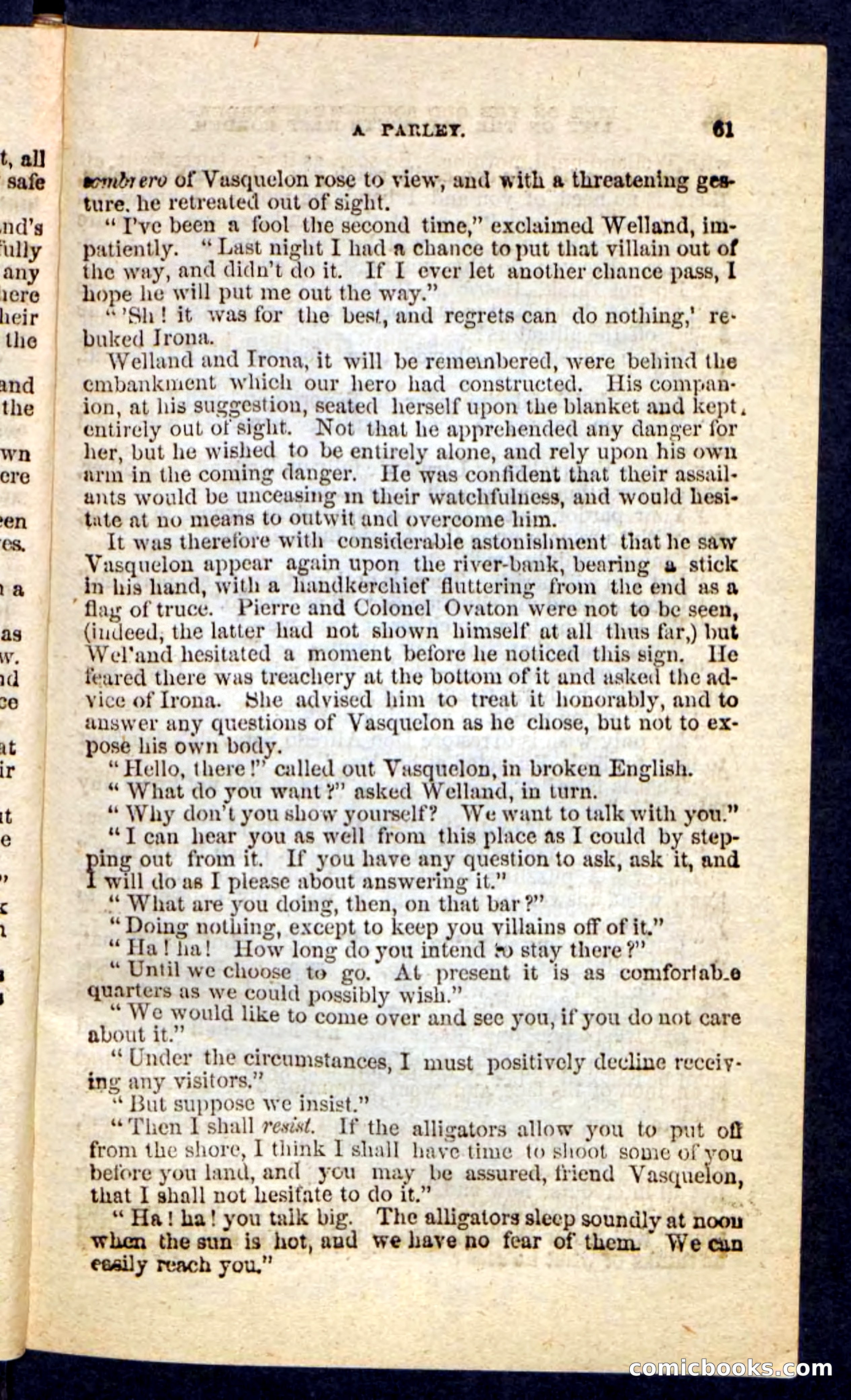 Beadle's Pocket Novels No. 227: Irona — page 57 of 100