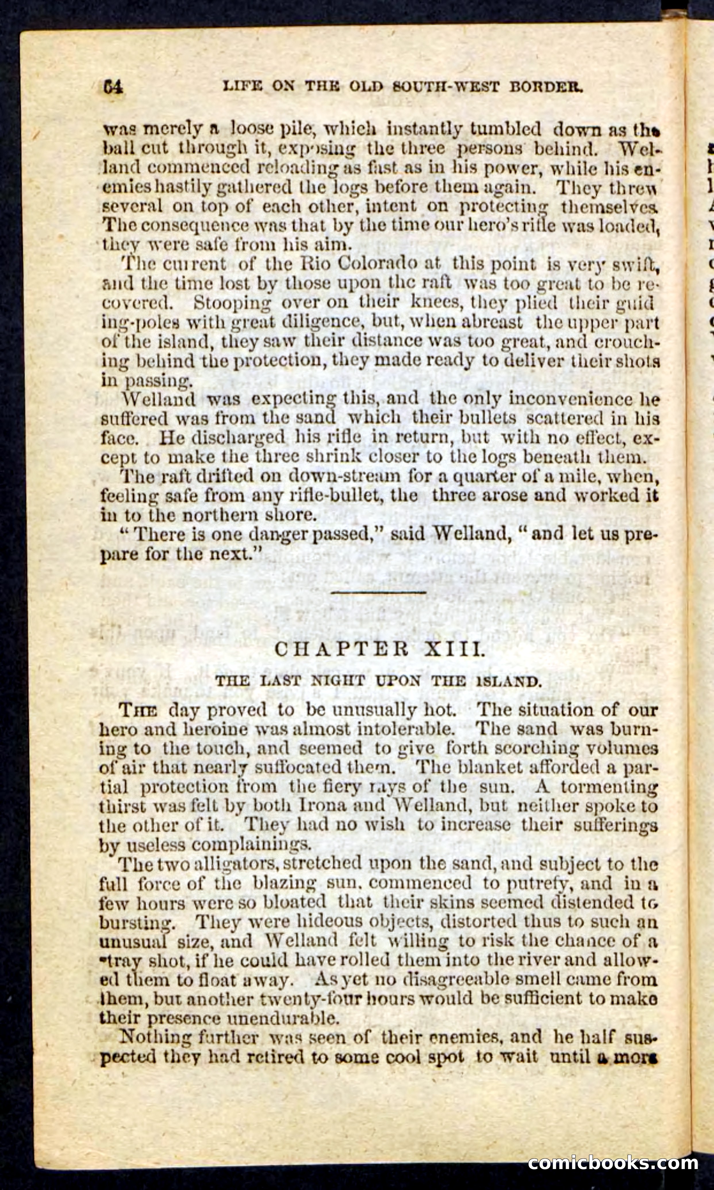 Beadle's Pocket Novels No. 227: Irona — page 60 of 100
