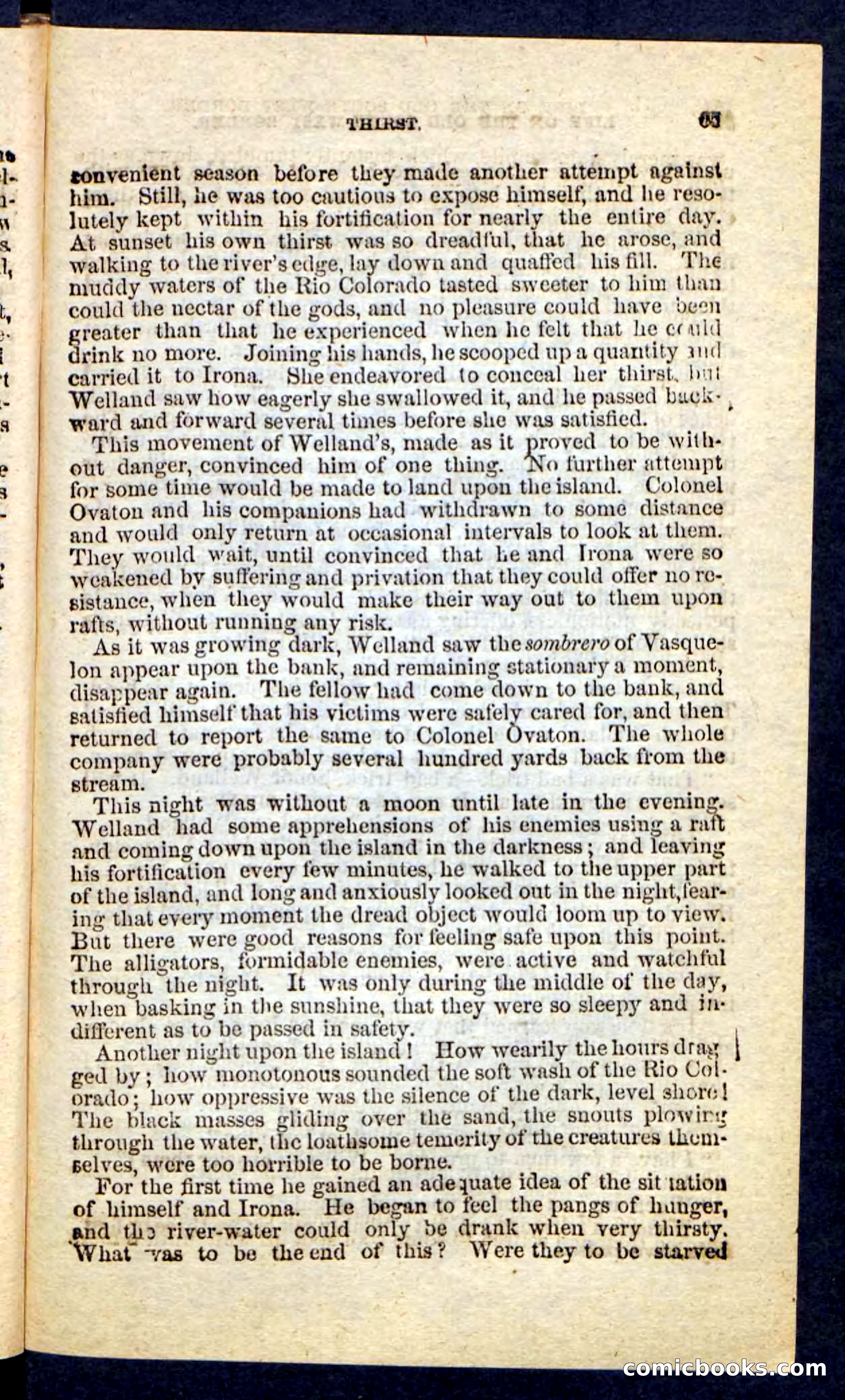 Beadle's Pocket Novels No. 227: Irona — page 61 of 100