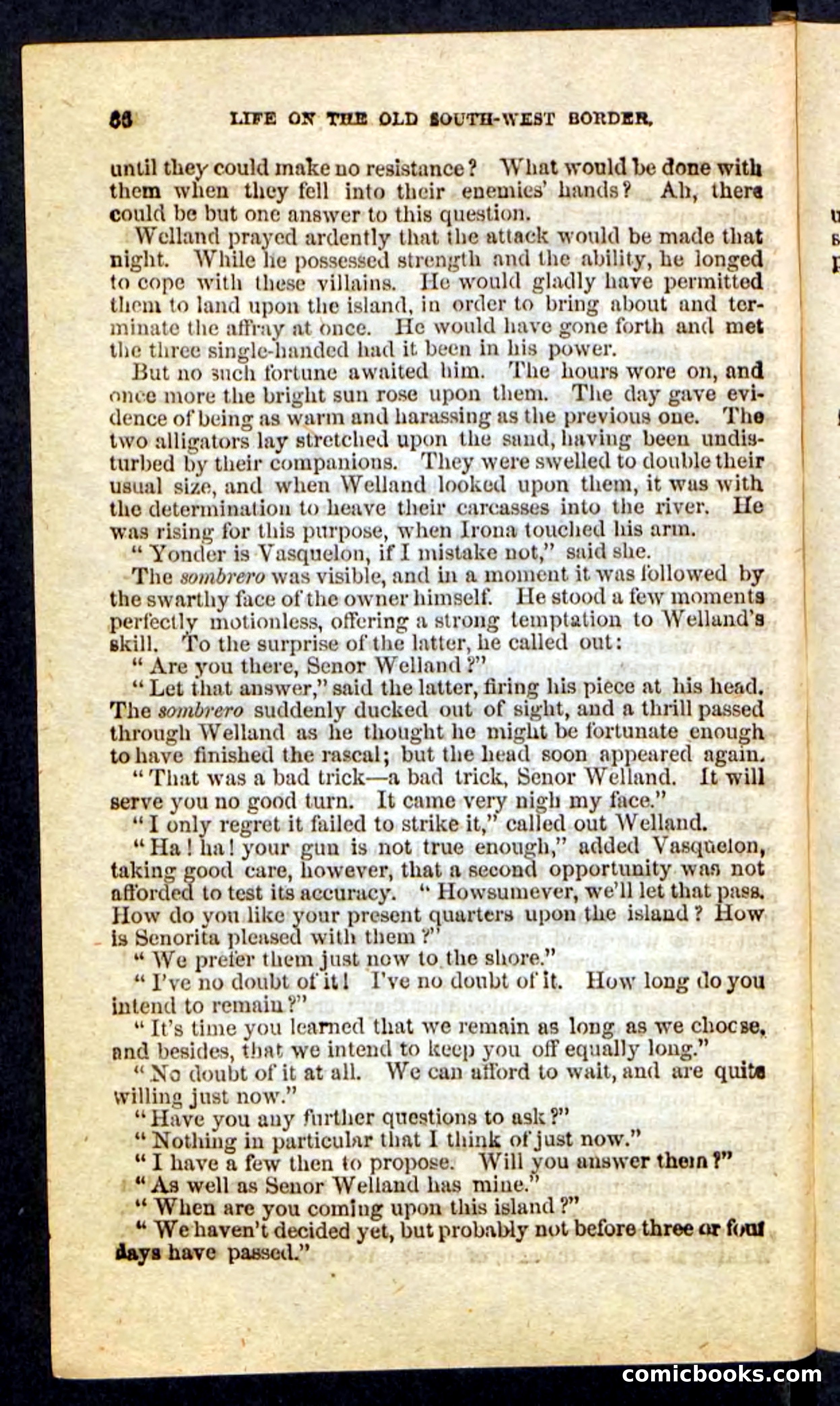 Beadle's Pocket Novels No. 227: Irona — page 62 of 100