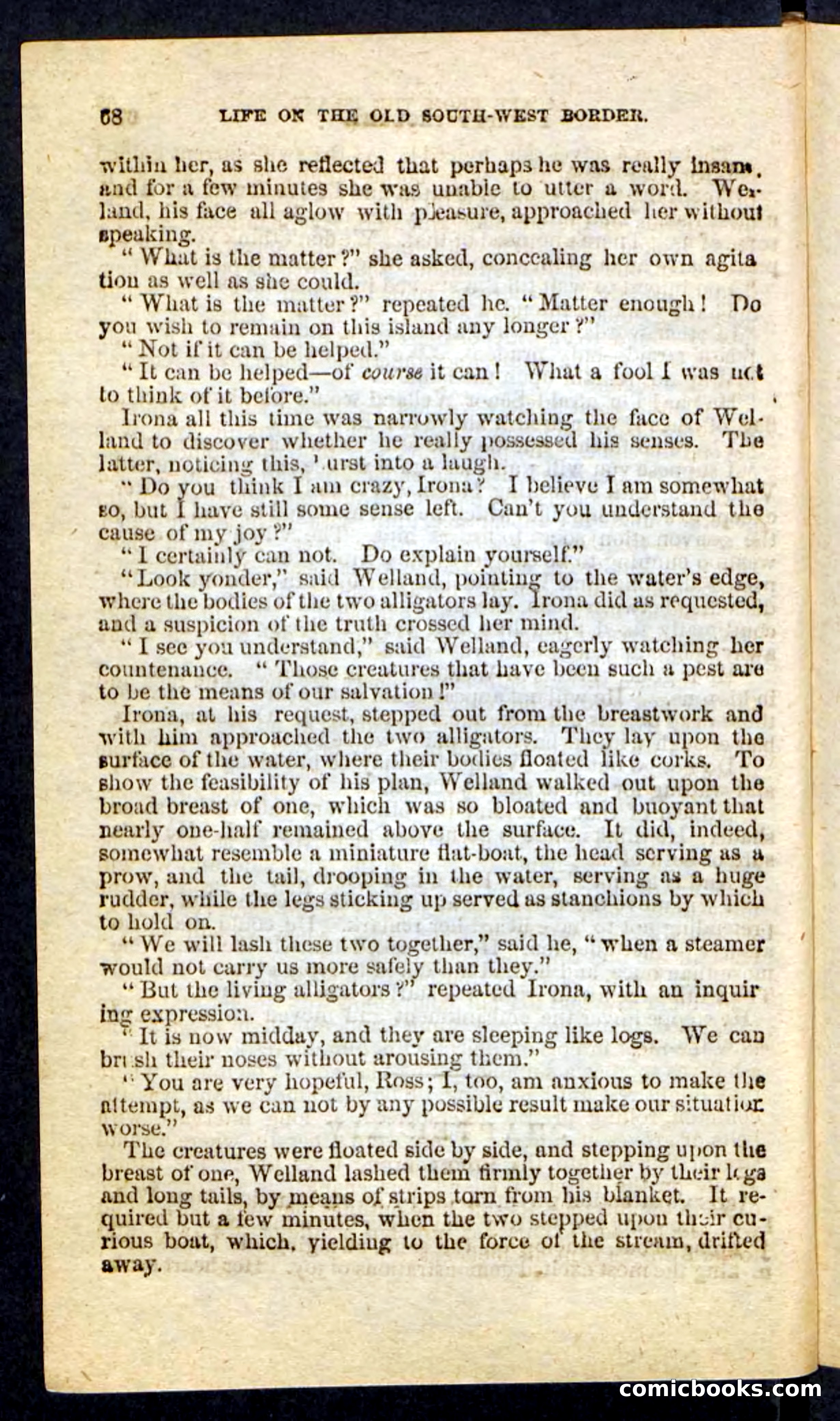 Beadle's Pocket Novels No. 227: Irona — page 64 of 100
