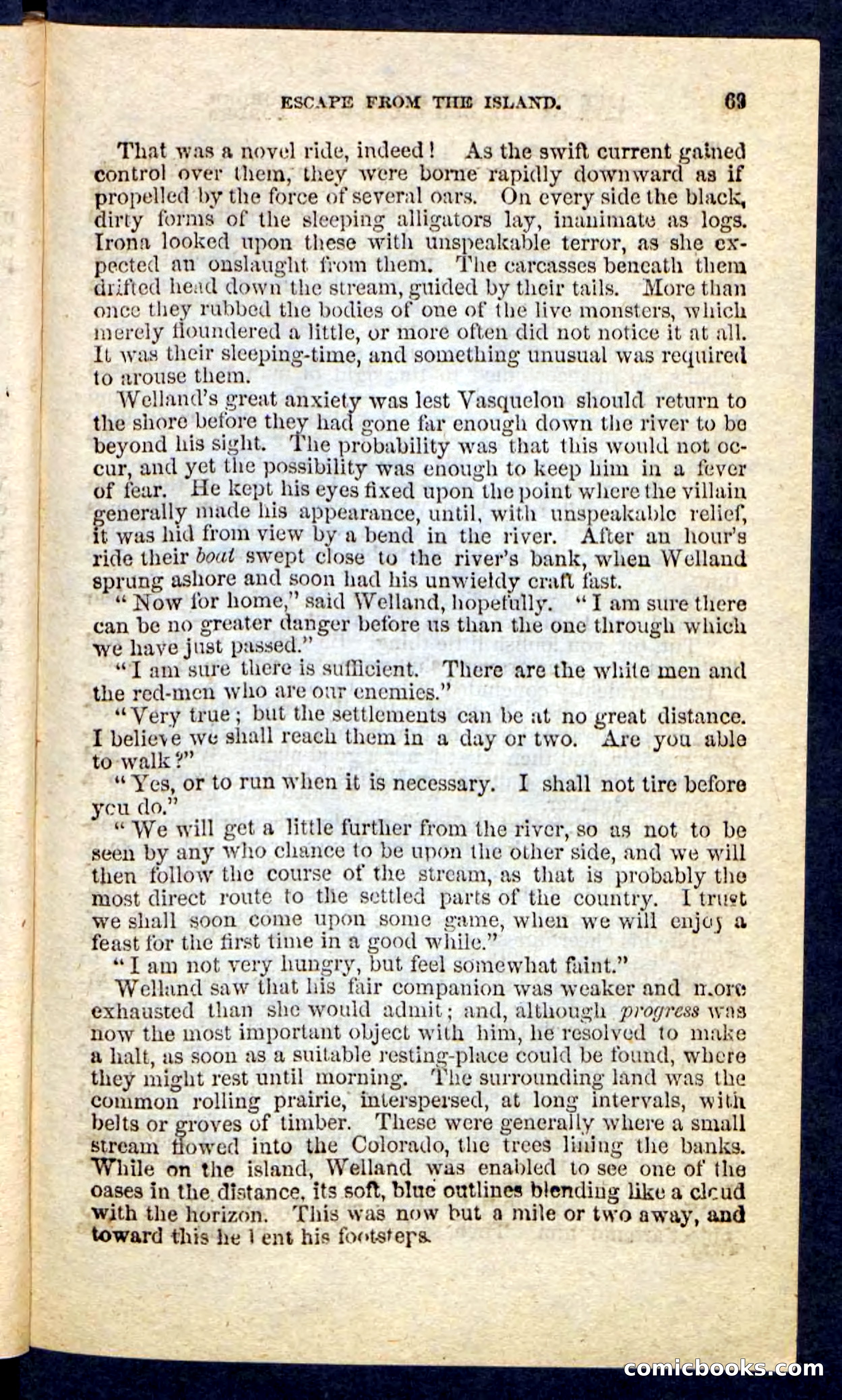 Beadle's Pocket Novels No. 227: Irona — page 65 of 100