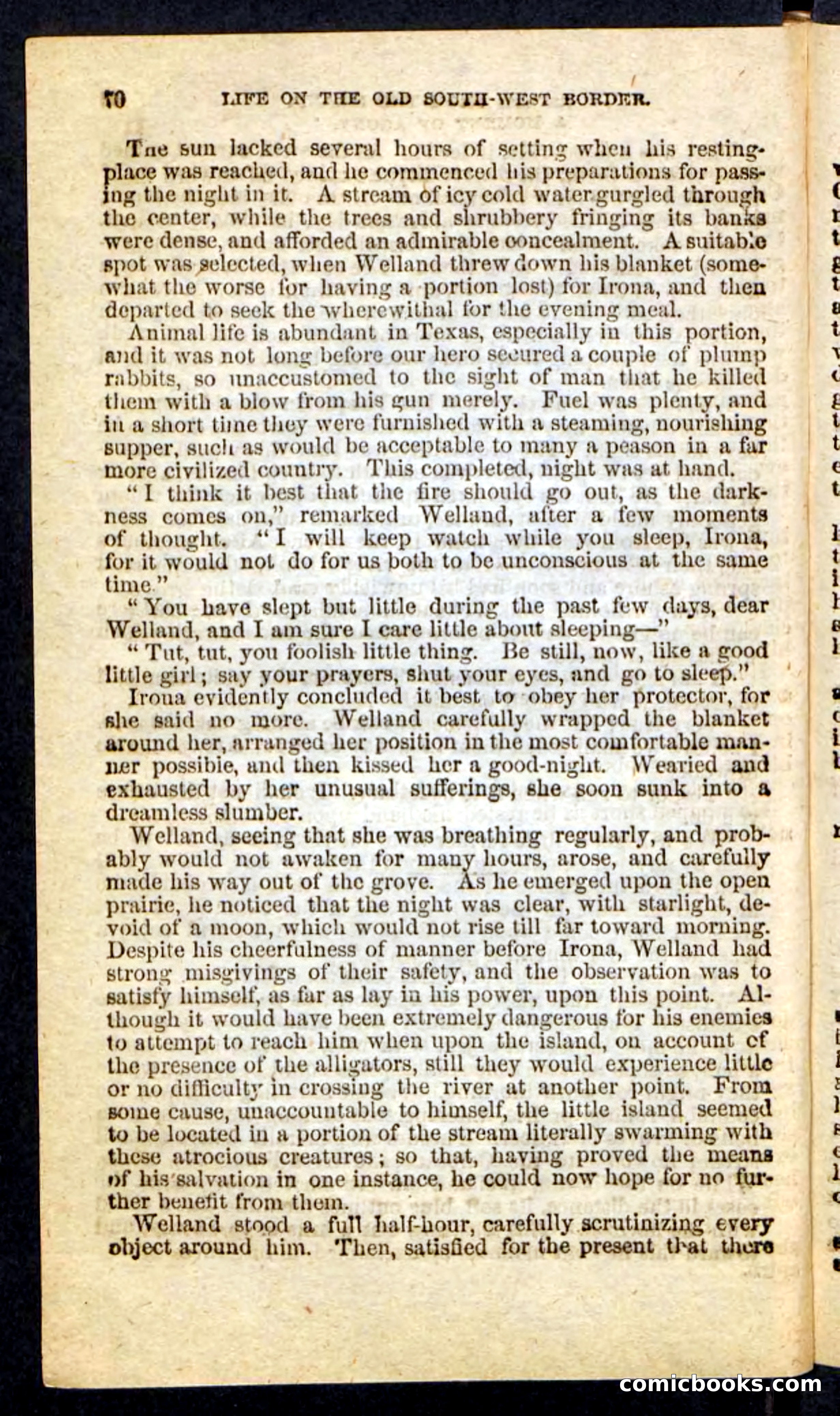 Beadle's Pocket Novels No. 227: Irona — page 66 of 100