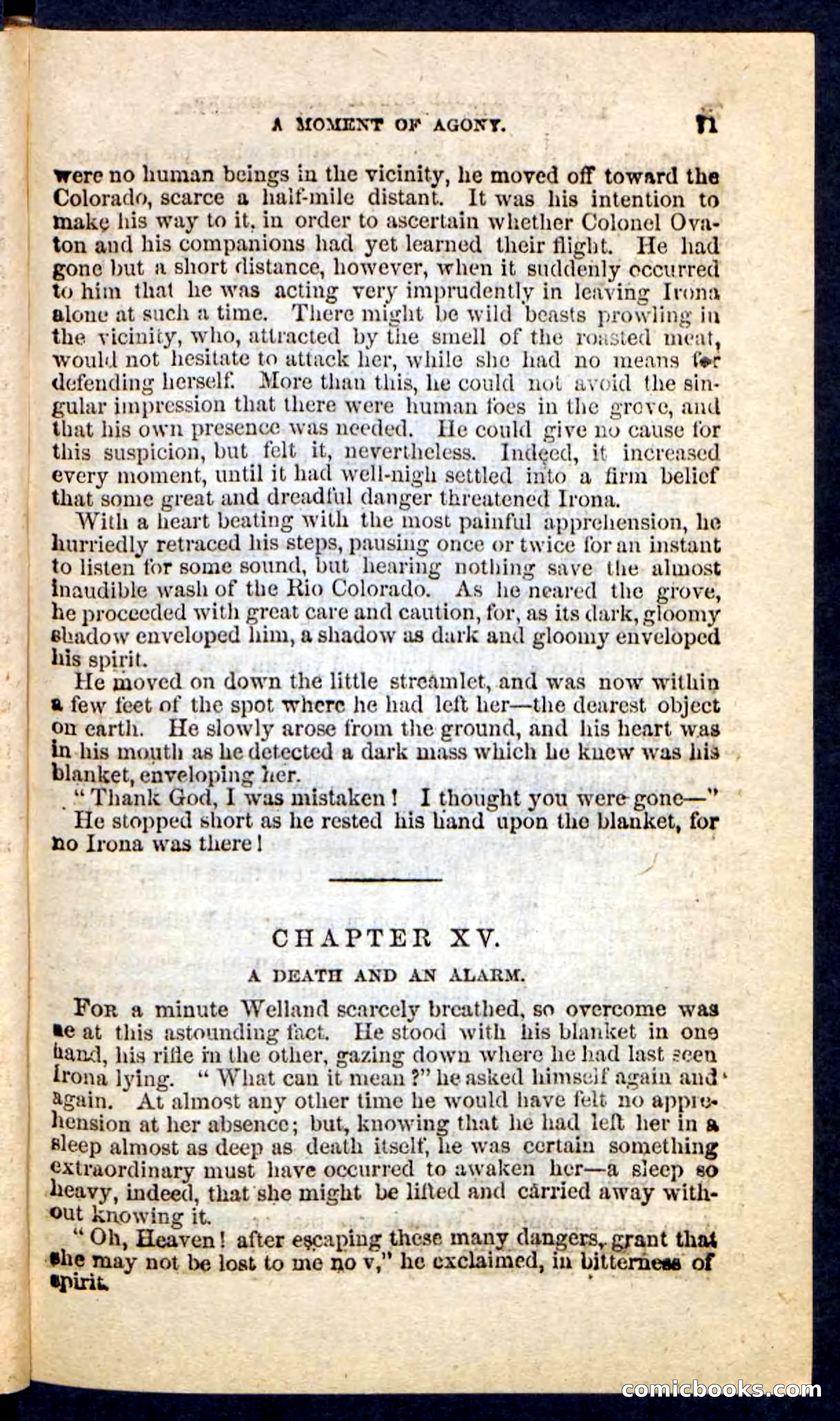 Beadle's Pocket Novels No. 227: Irona — page 67 of 100
