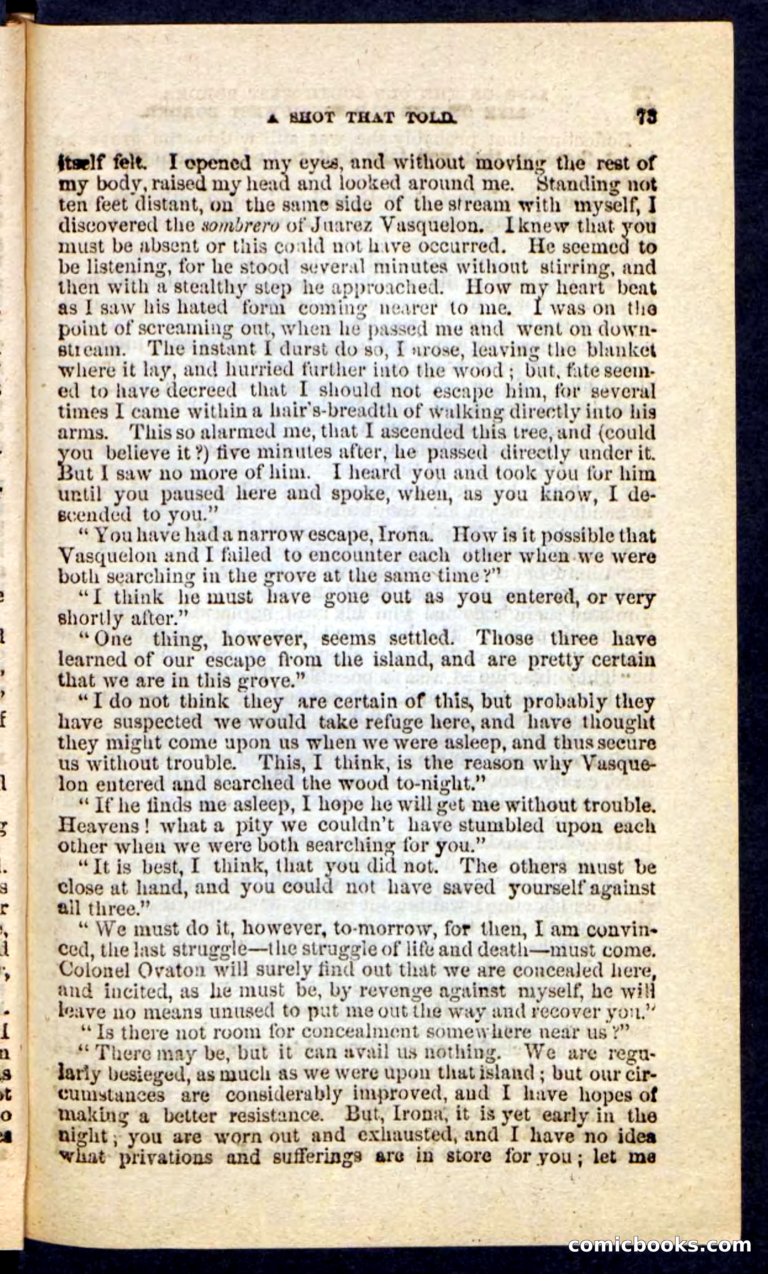 Beadle's Pocket Novels No. 227: Irona — page 69 of 100