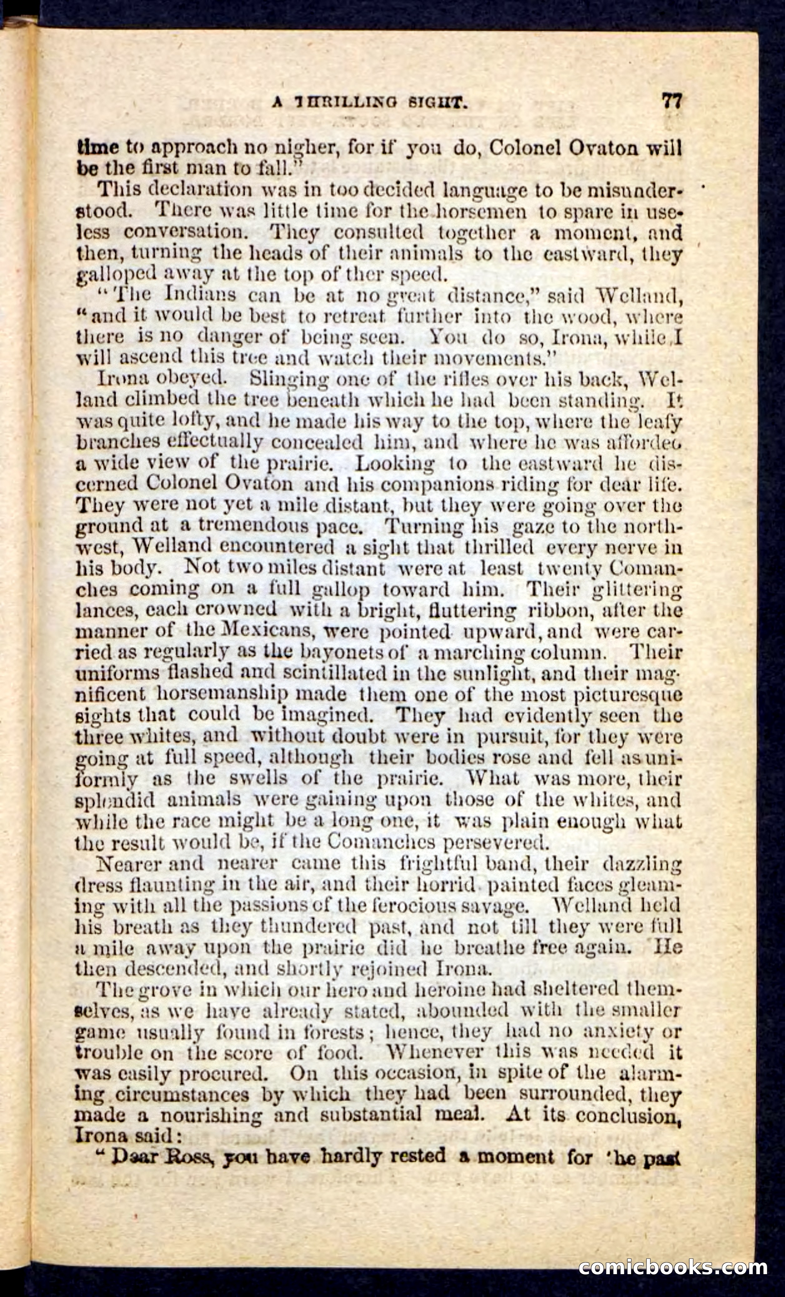 Beadle's Pocket Novels No. 227: Irona — page 73 of 100