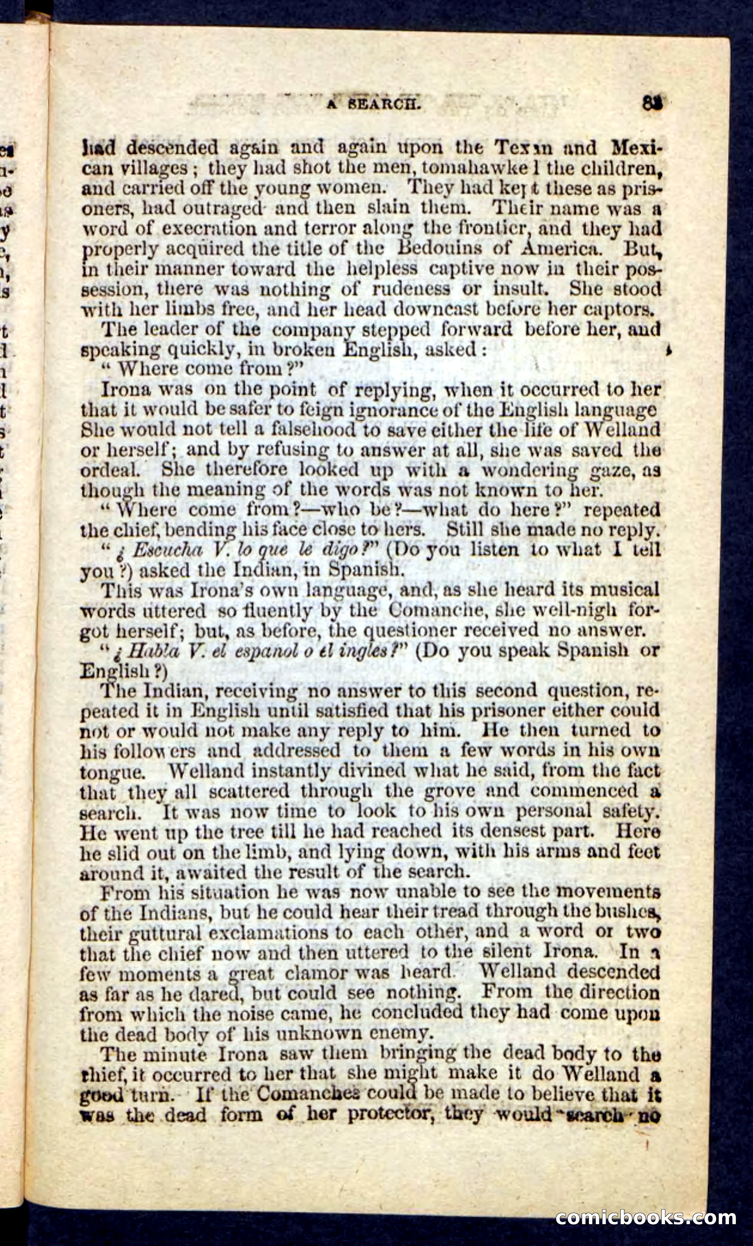 Beadle's Pocket Novels No. 227: Irona — page 79 of 100