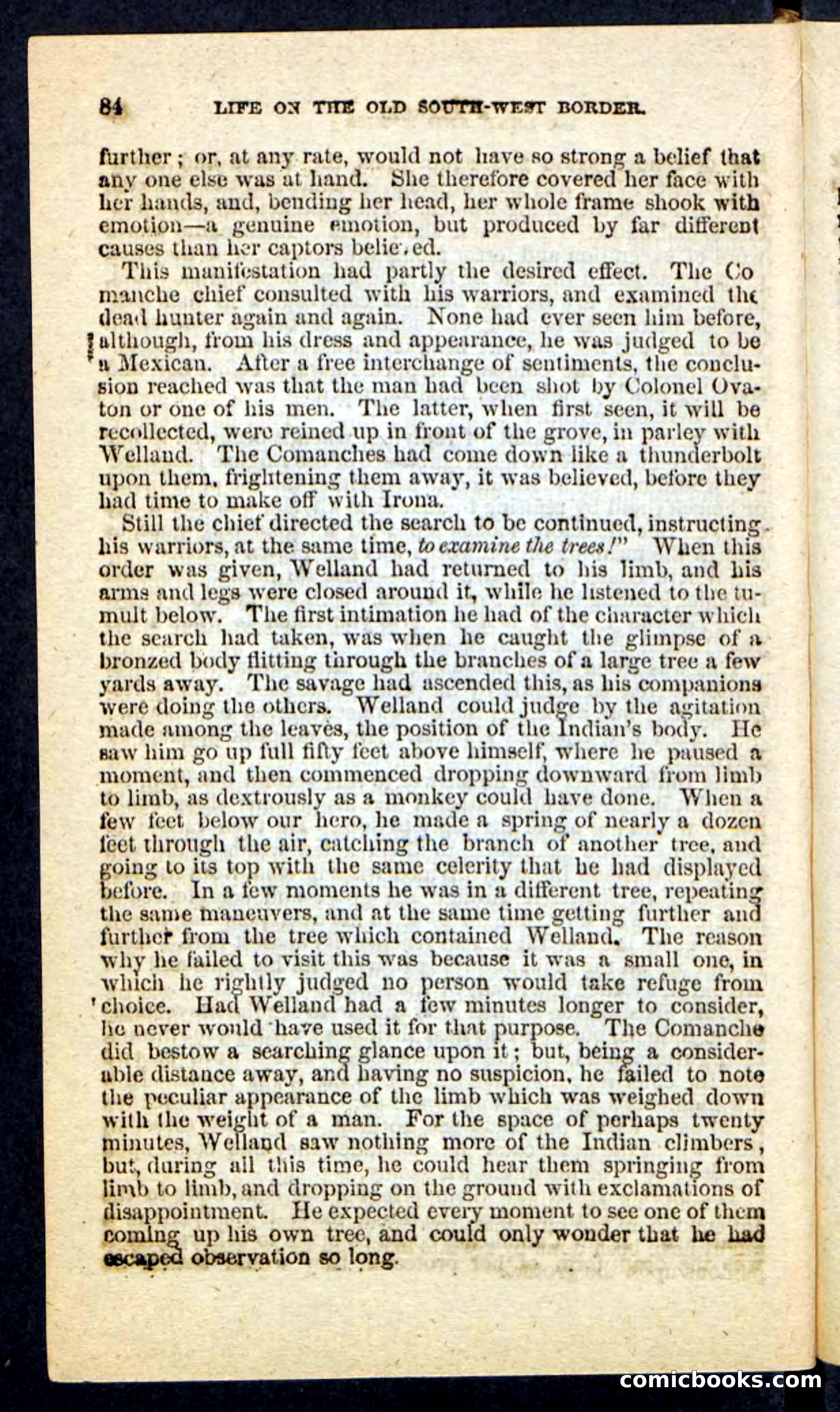 Beadle's Pocket Novels No. 227: Irona — page 80 of 100