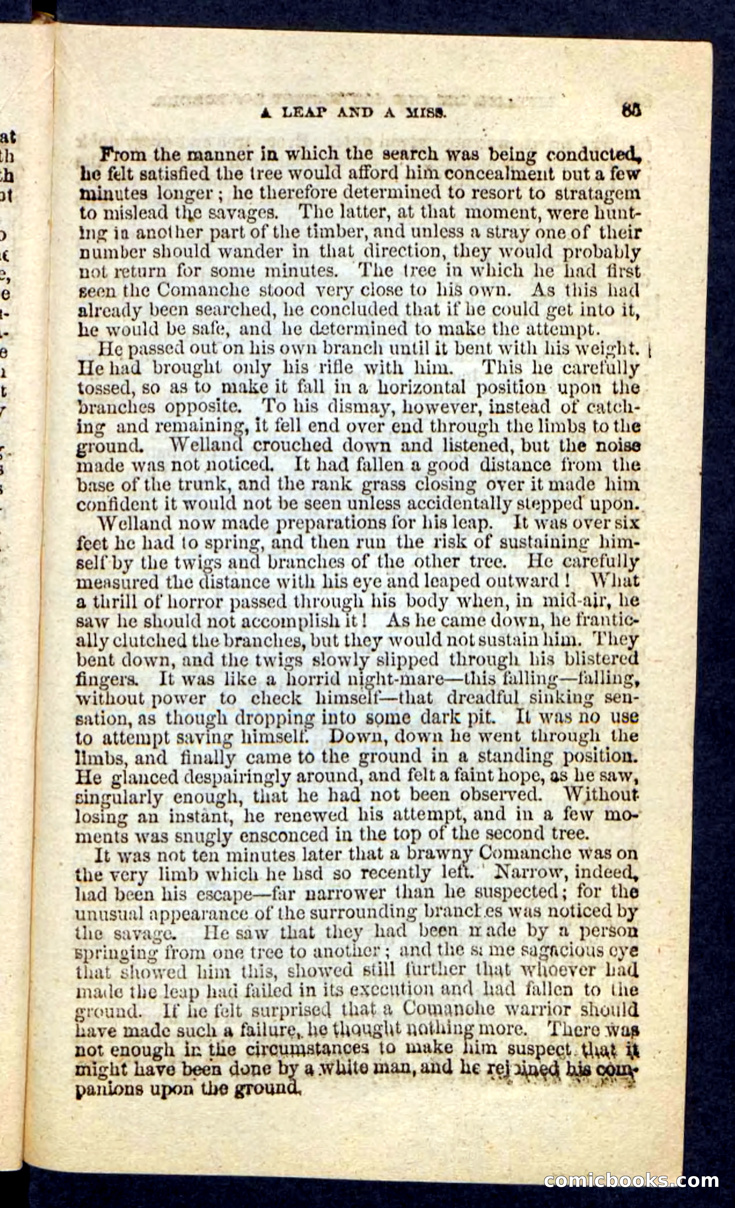 Beadle's Pocket Novels No. 227: Irona — page 81 of 100
