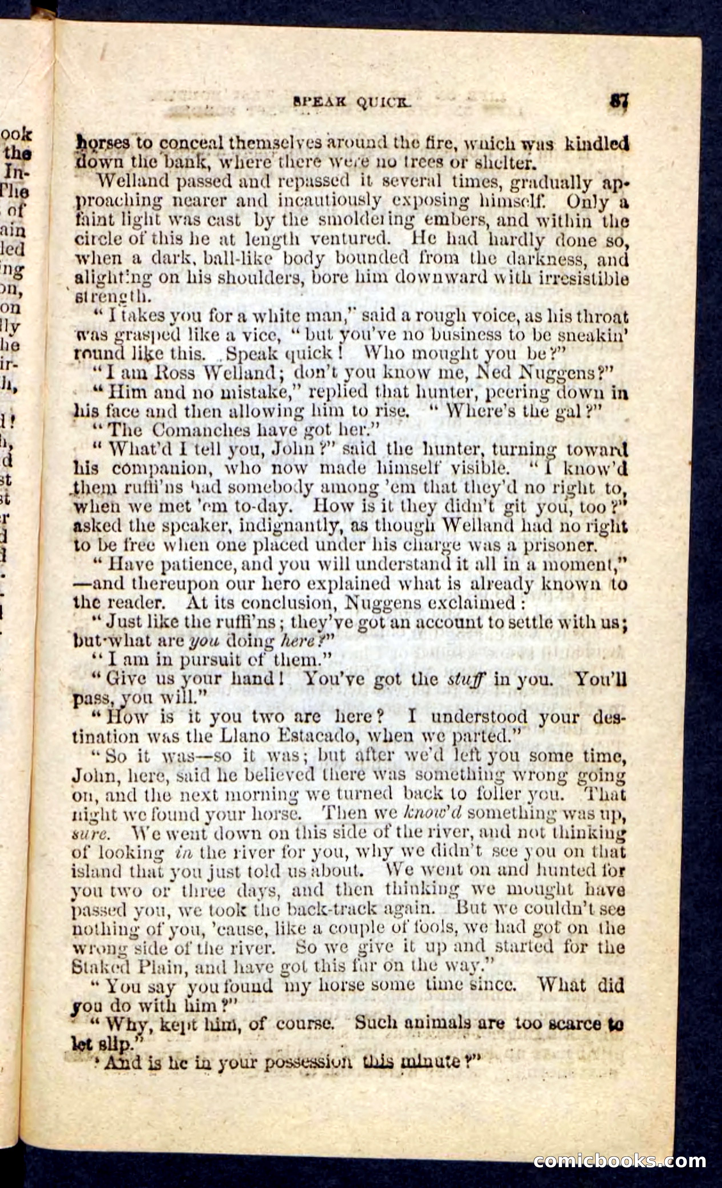 Beadle's Pocket Novels No. 227: Irona — page 83 of 100