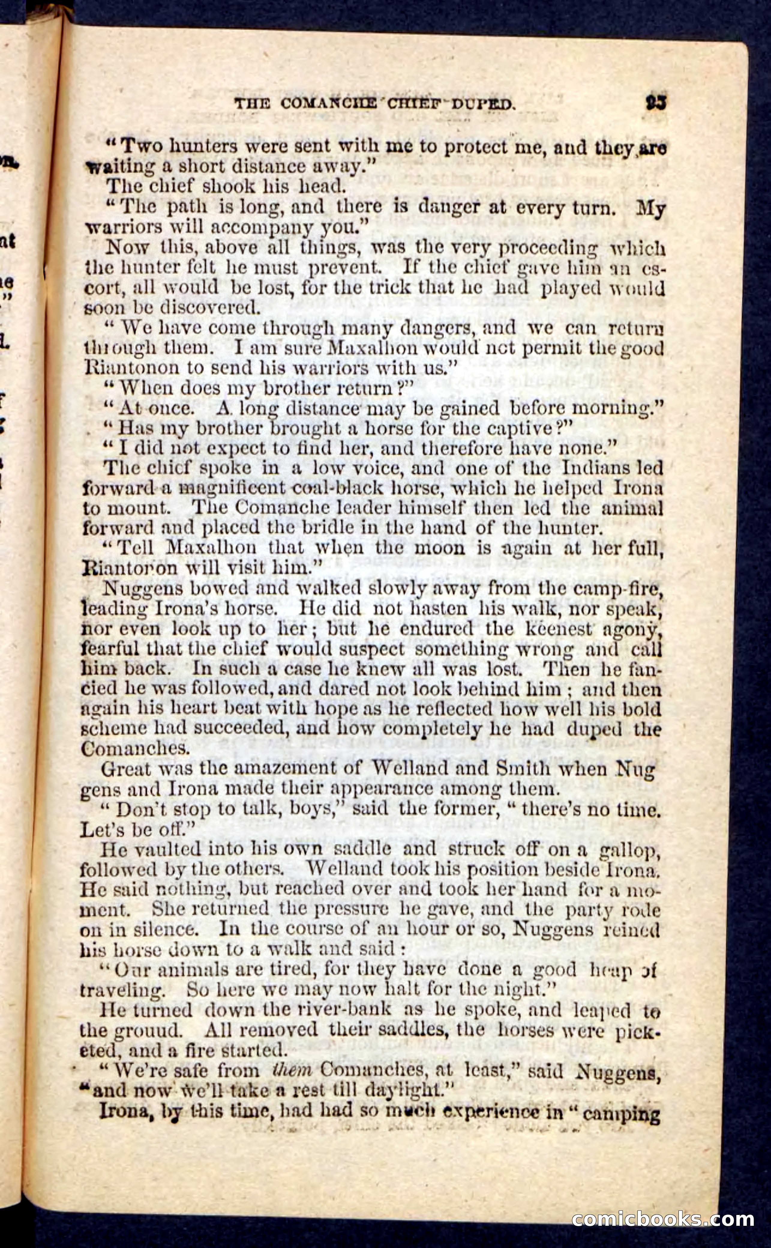 Beadle's Pocket Novels No. 227: Irona — page 91 of 100