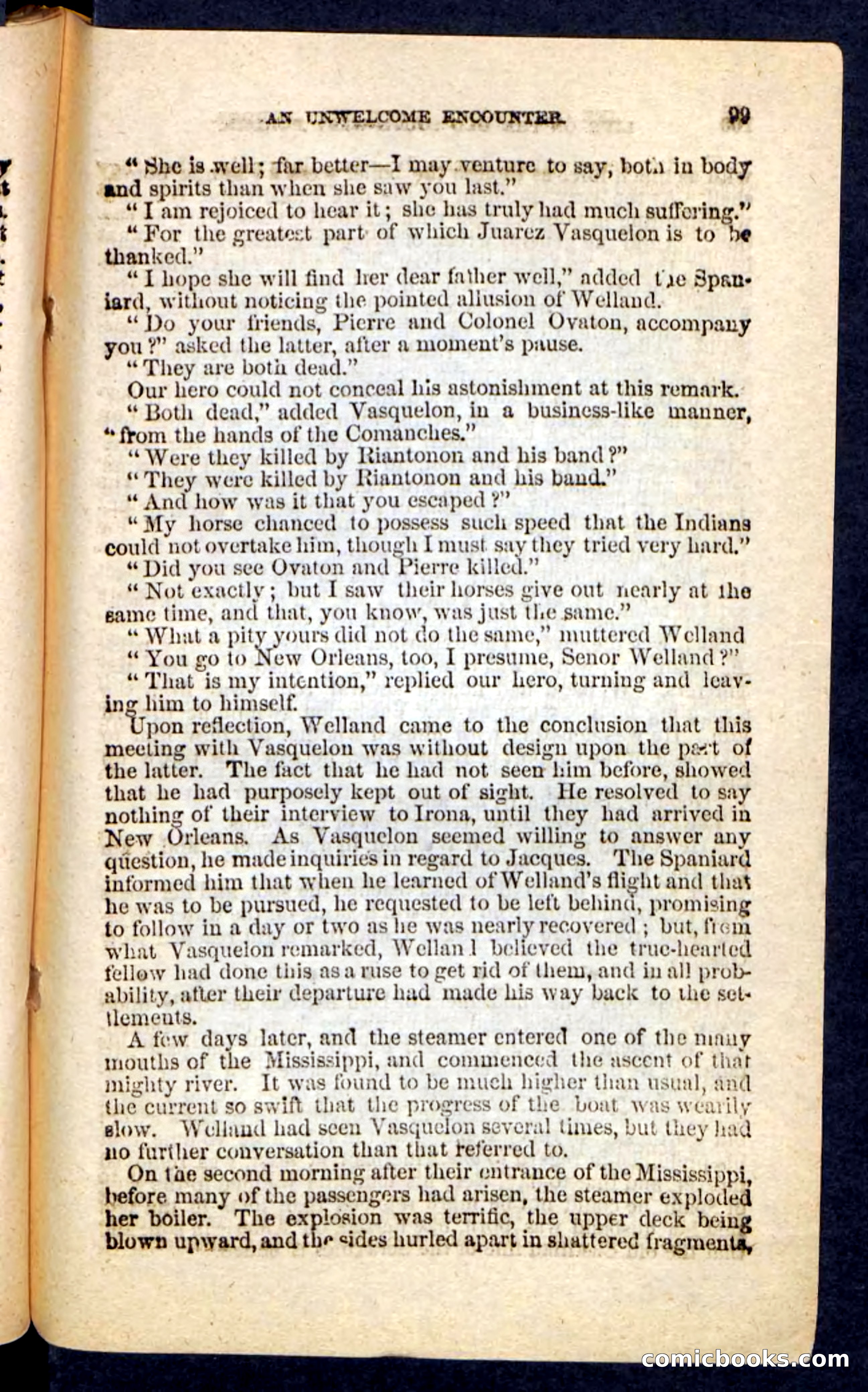 Beadle's Pocket Novels No. 227: Irona — page 95 of 100