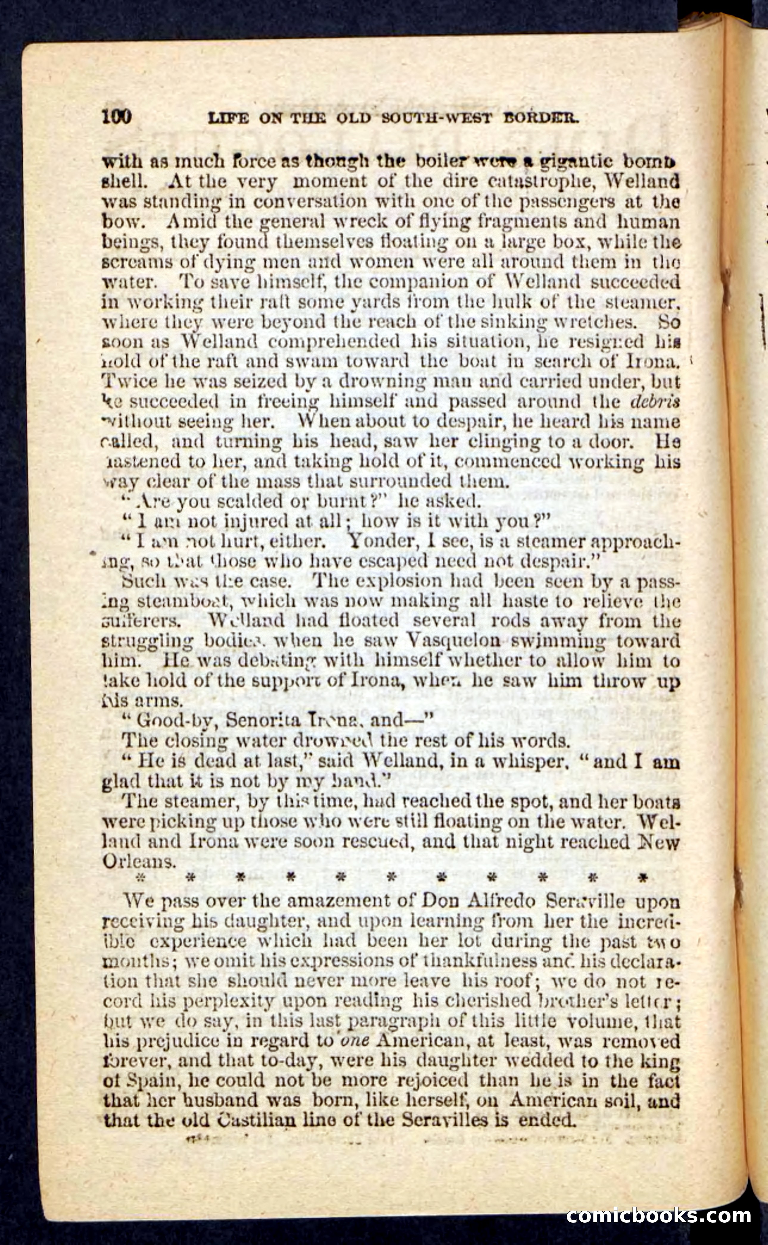 Beadle's Pocket Novels No. 227: Irona — page 96 of 100