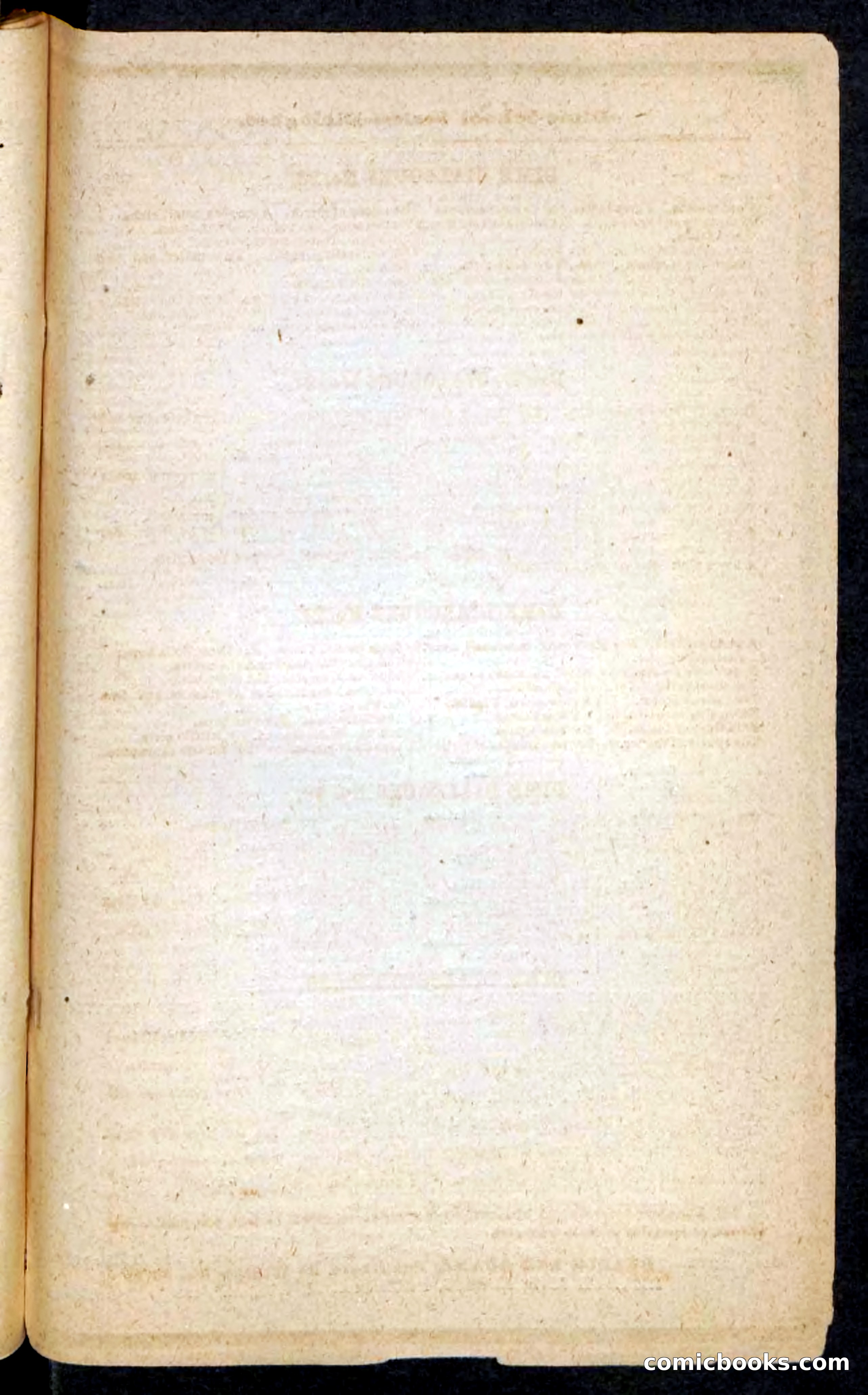 Beadle's Pocket Novels No. 227: Irona — page 99 of 100