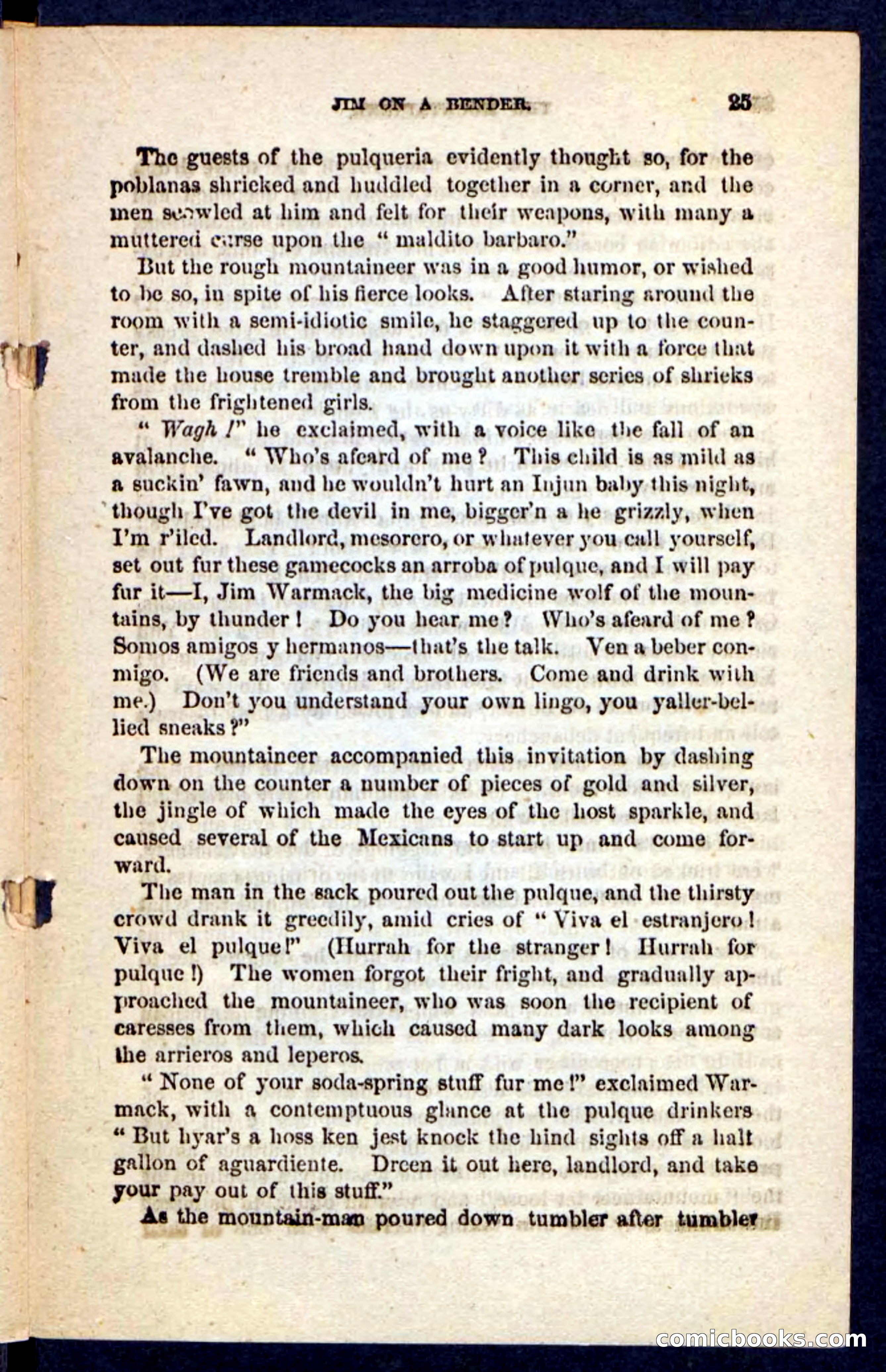 The Mountaineer — page 21 of 100
