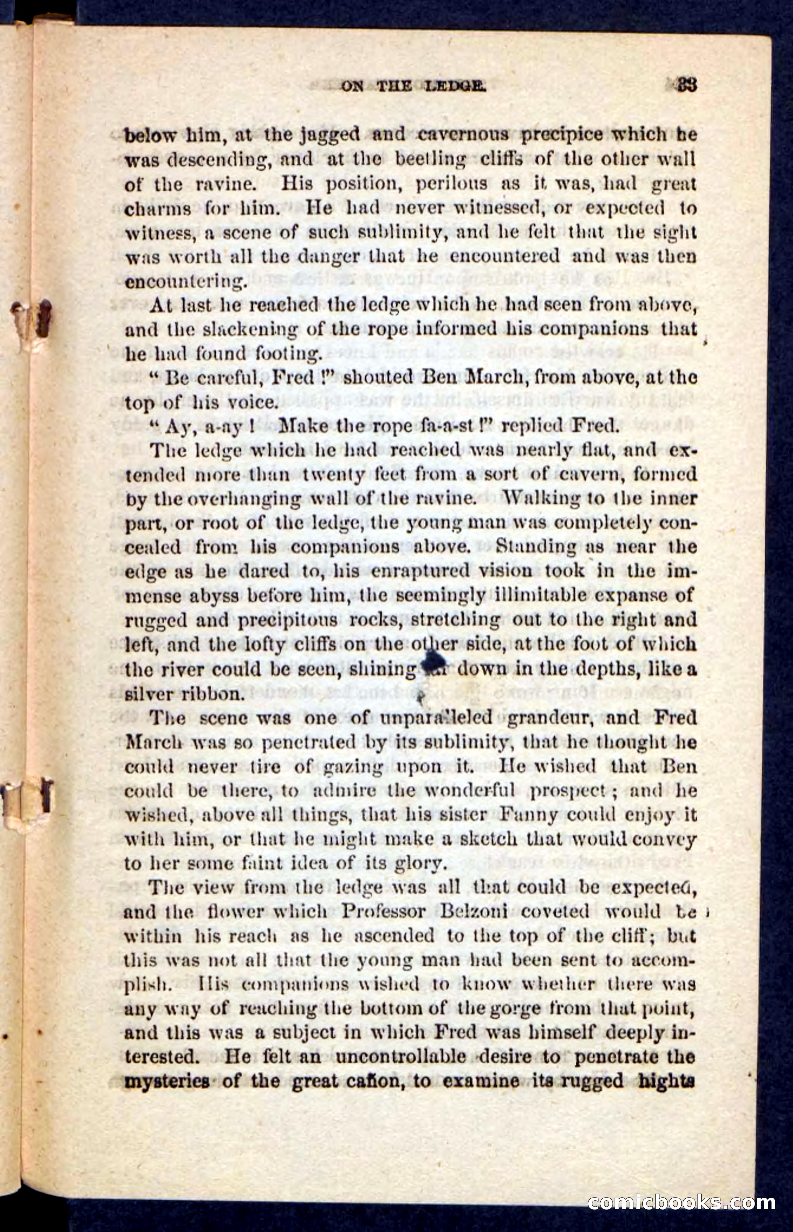 The Mountaineer — page 29 of 100