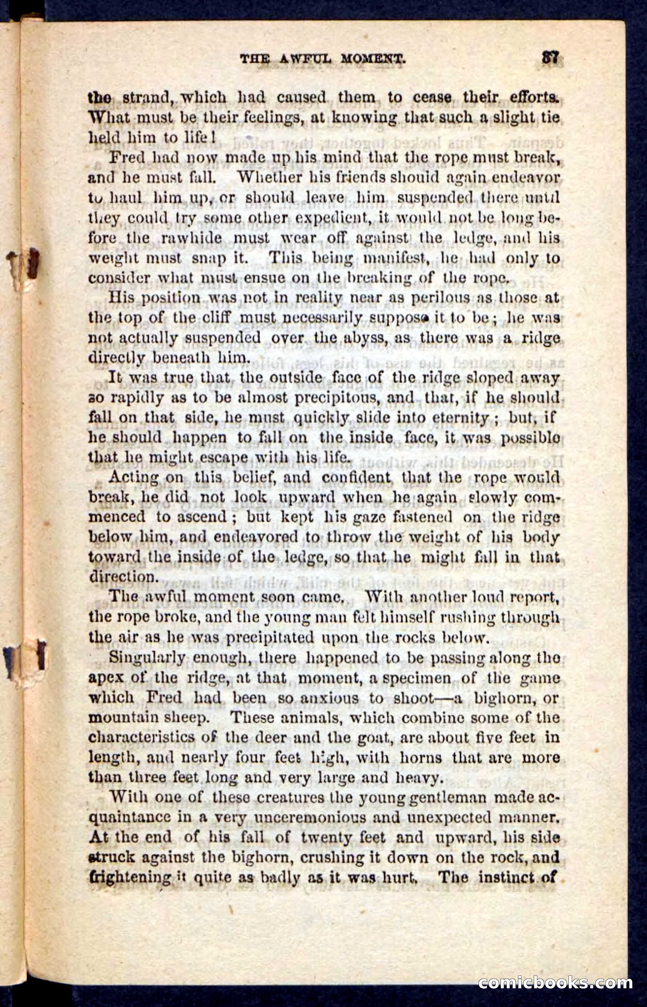 The Mountaineer — page 33 of 100