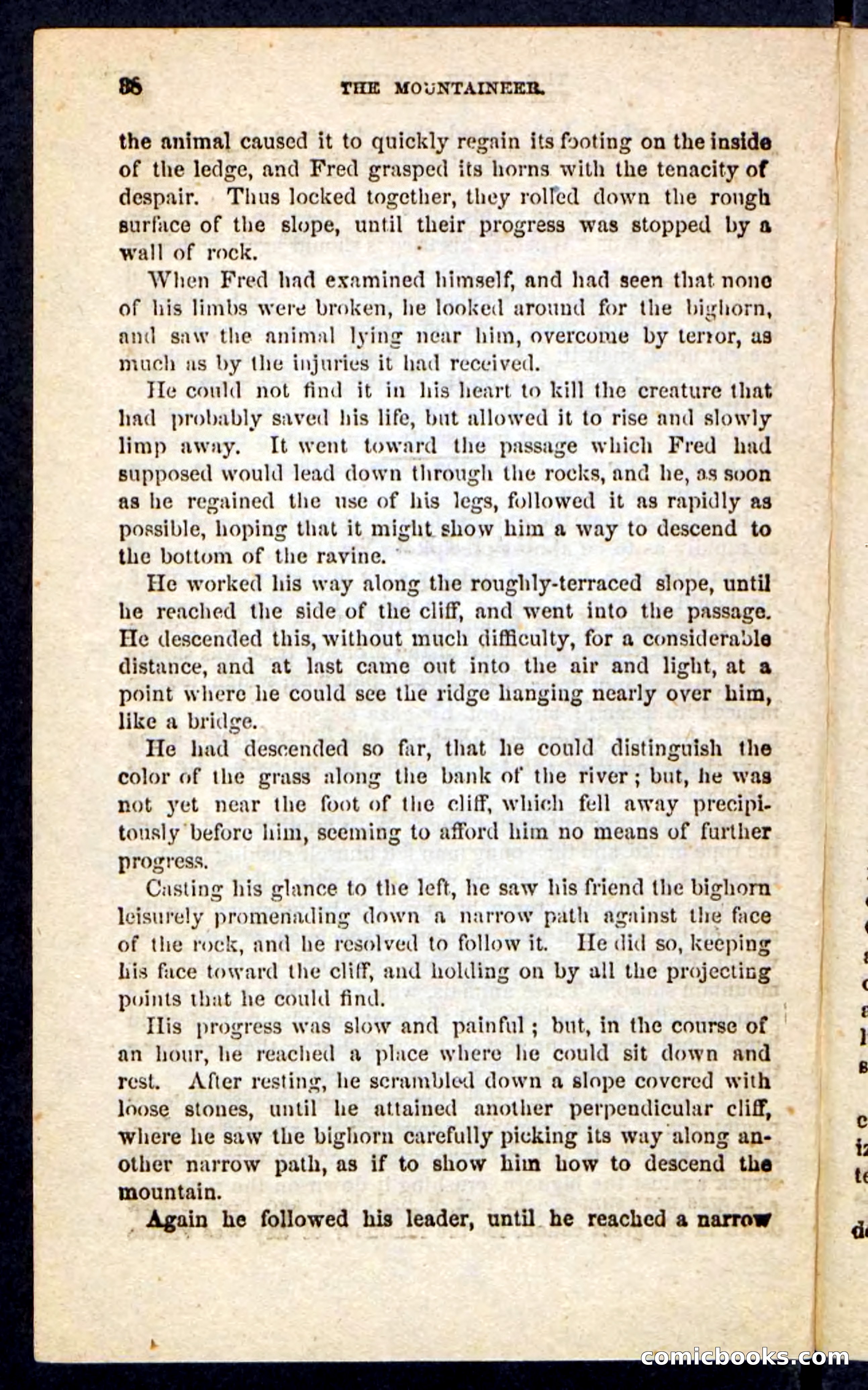 The Mountaineer — page 34 of 100