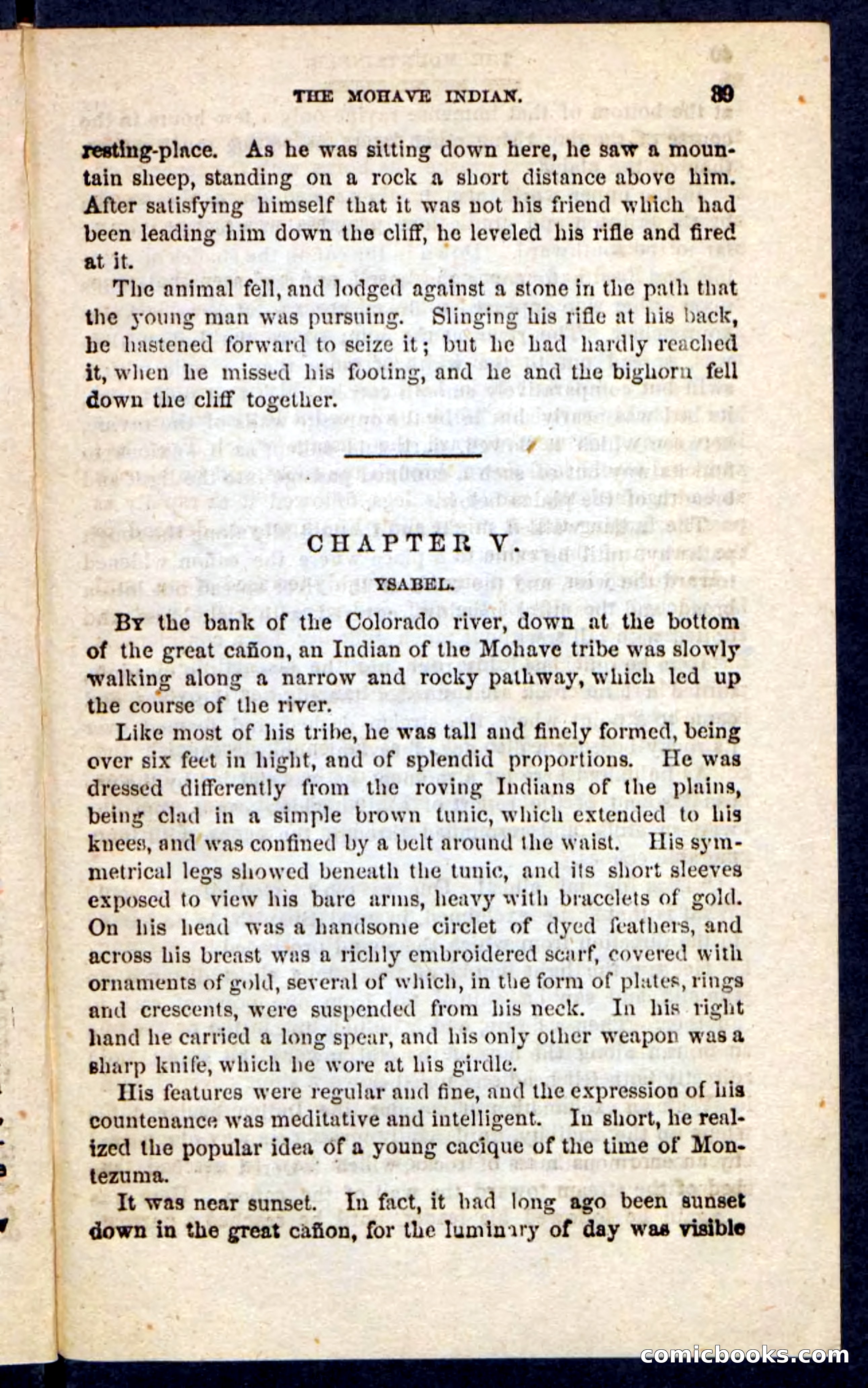 The Mountaineer — page 35 of 100