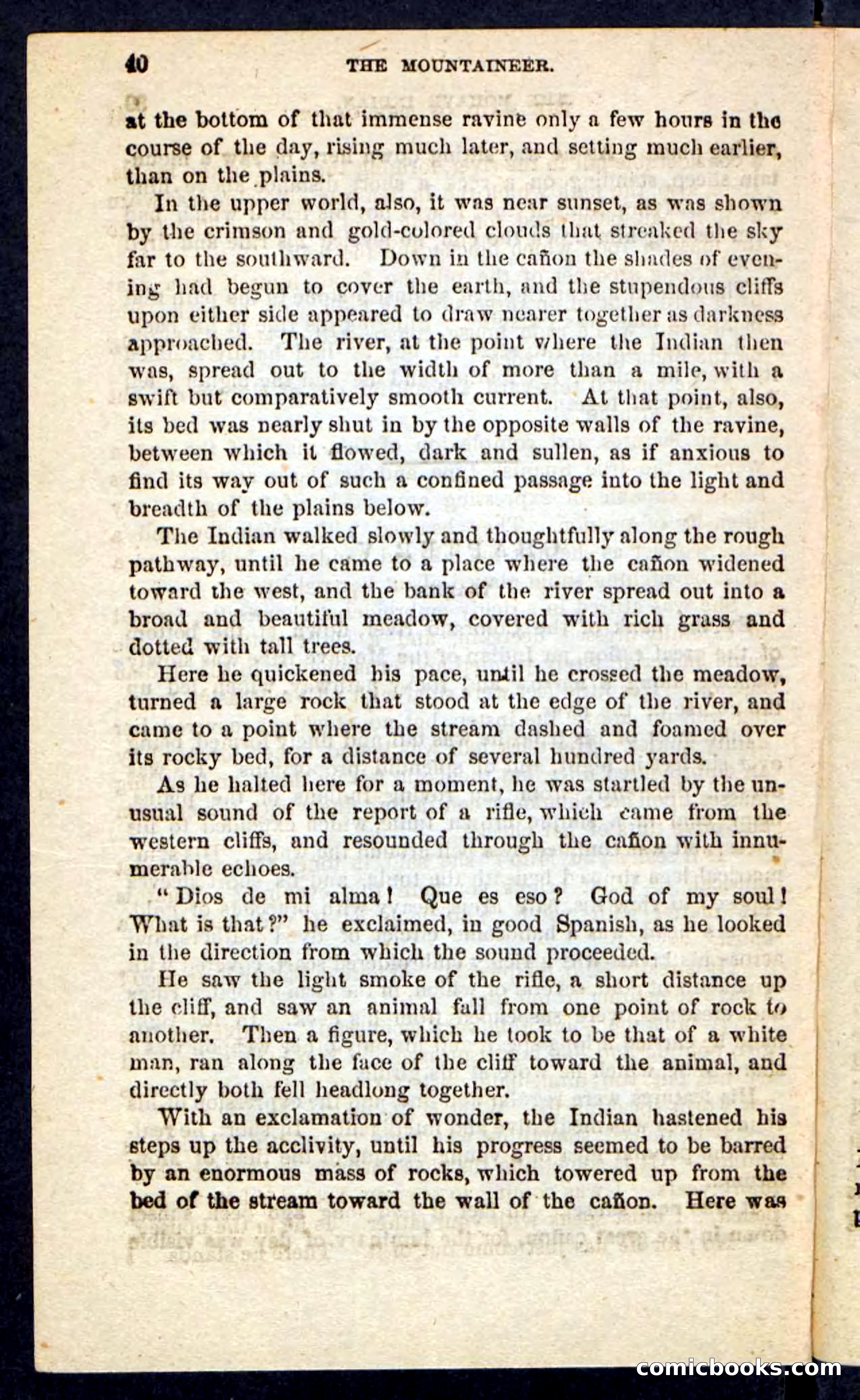 The Mountaineer — page 36 of 100