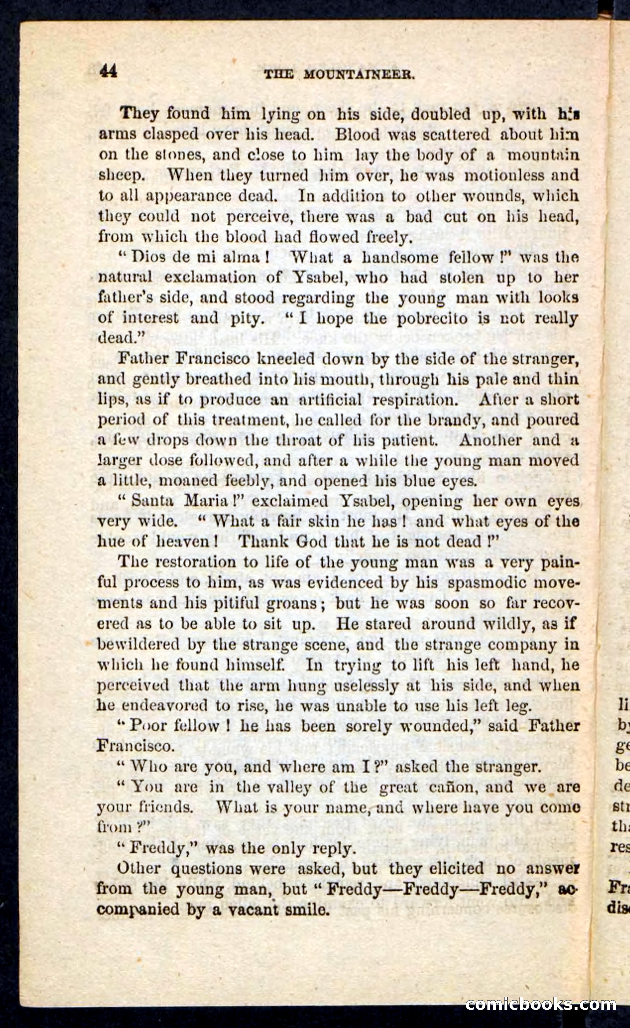 The Mountaineer — page 40 of 100