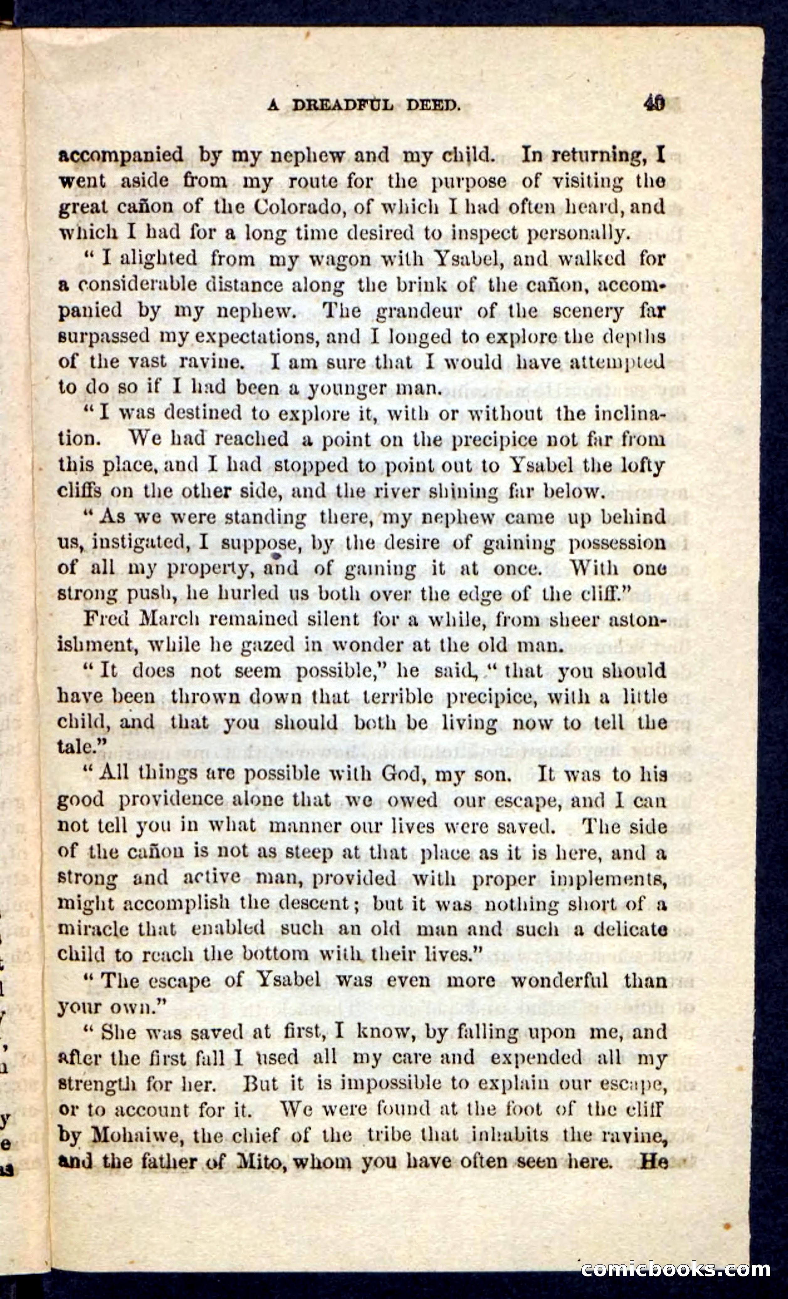 The Mountaineer — page 45 of 100